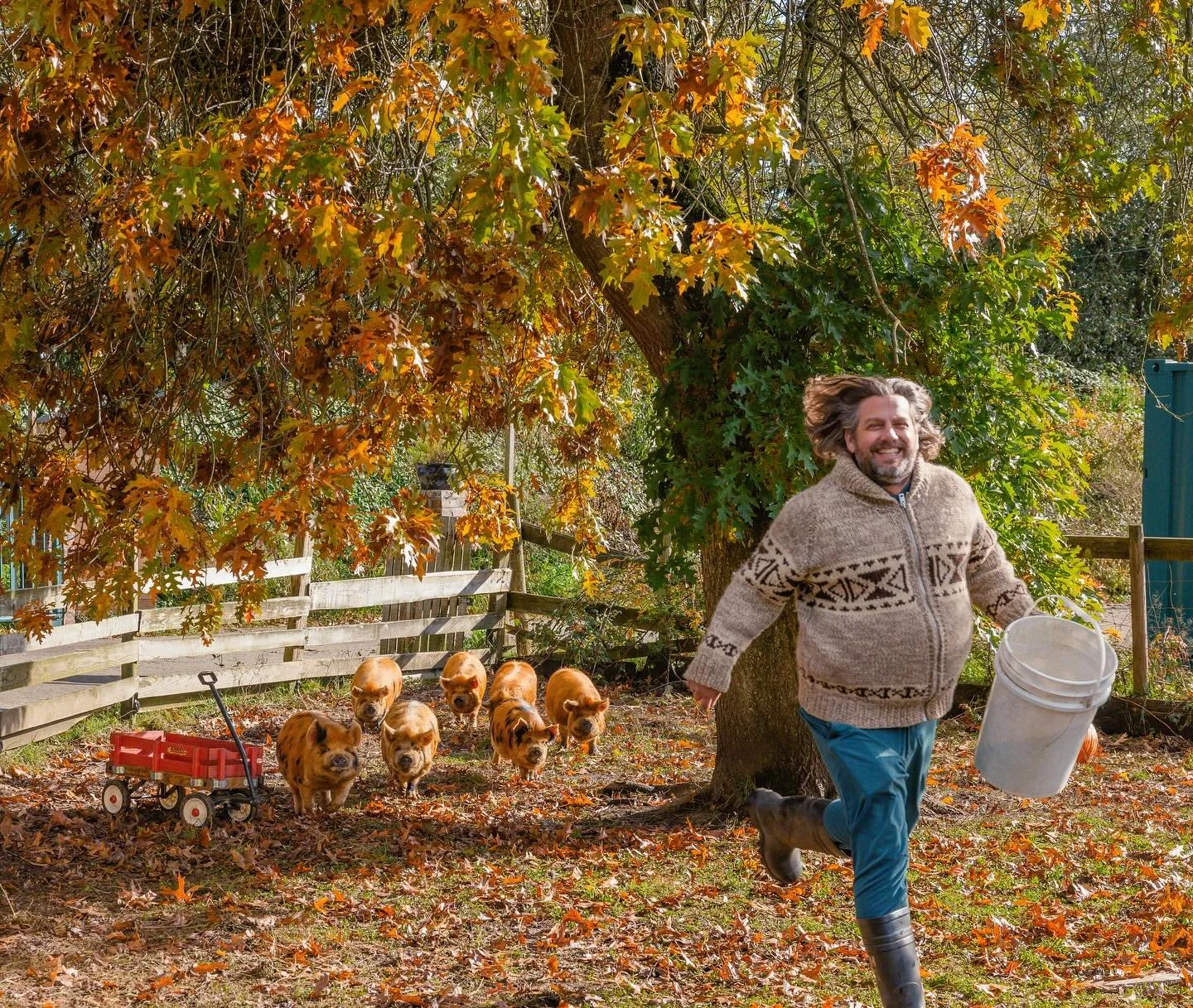 That &ldquo;pumpkin patch opens in two weeks&rdquo; feeling 😂 Opening day is Saturday September 27th - see y&rsquo;all for pumpkin fun!!!