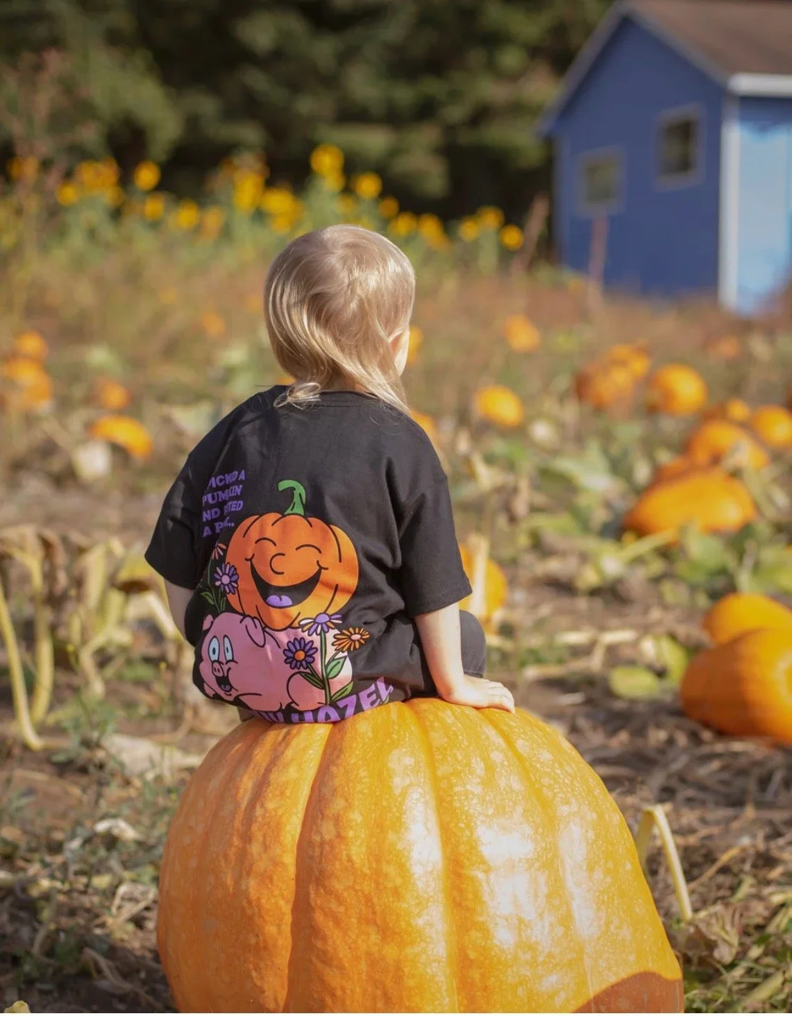 Pumpkin Patch Opening Day