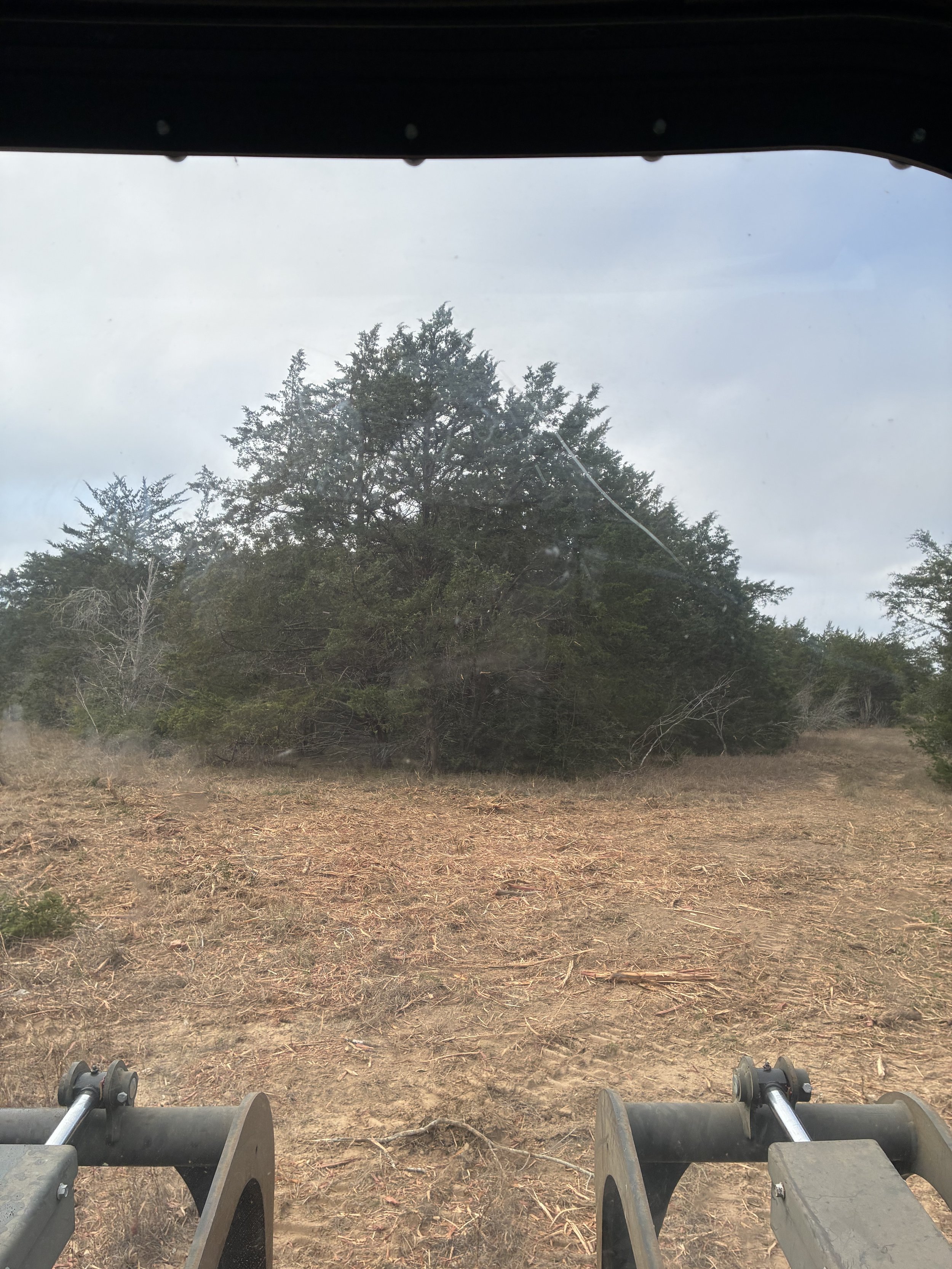 View from a vehicle or equipment looking out over a dirt and grass field with trees in the background under an overcast sky.