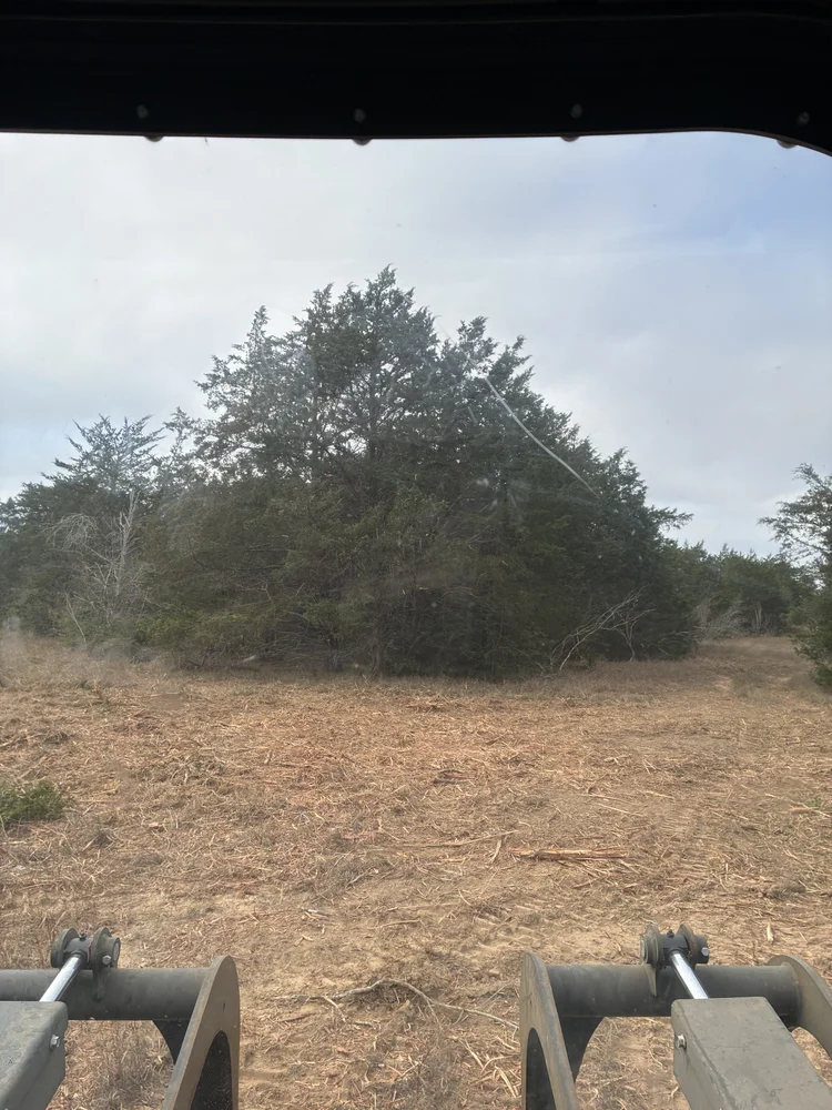 Open ranch roadway after clearing