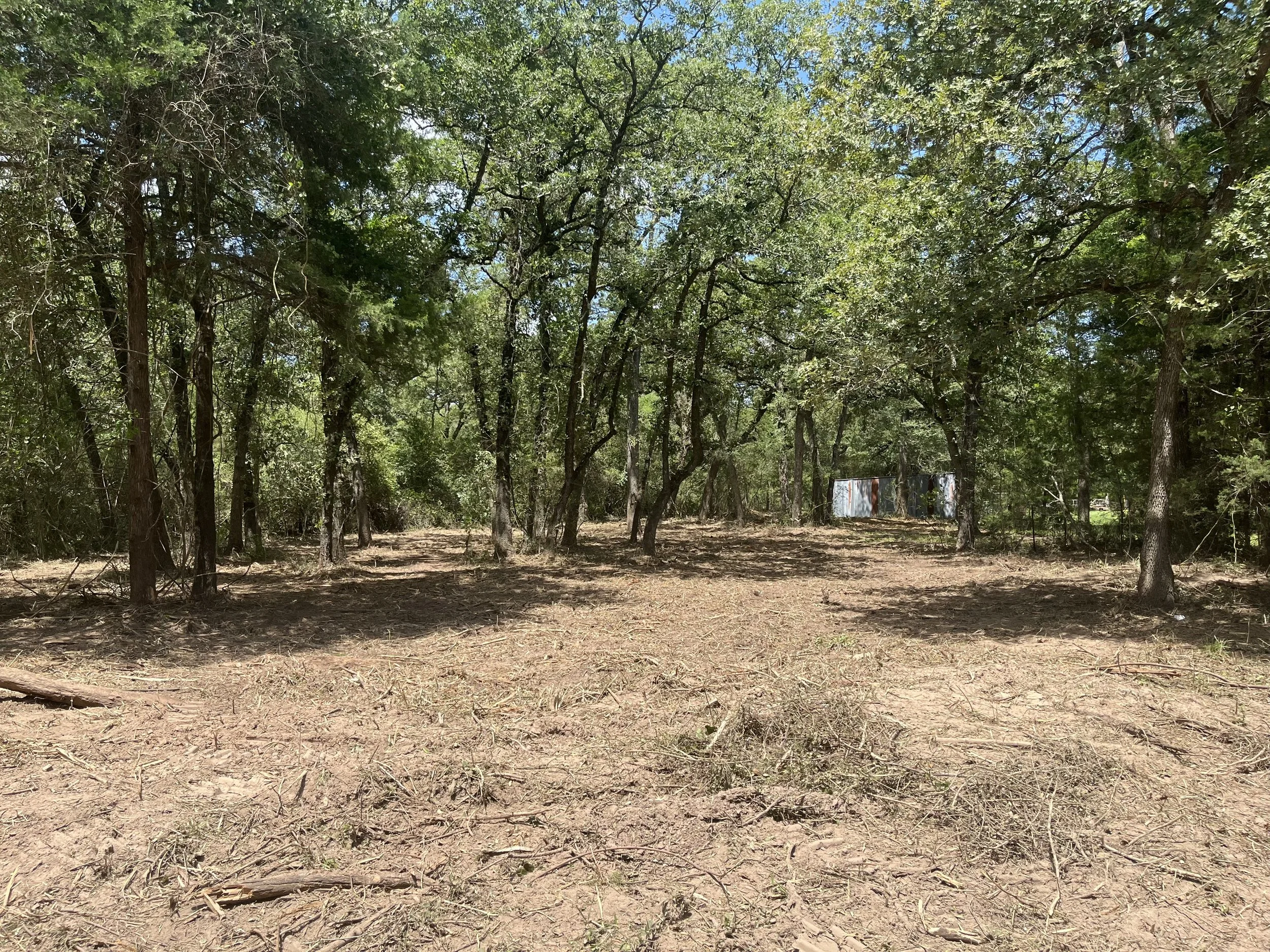 A wooded outdoor area with tall trees and a dirt ground. There is a small weathered metal building or shed among the trees. The sky is clear and blue.