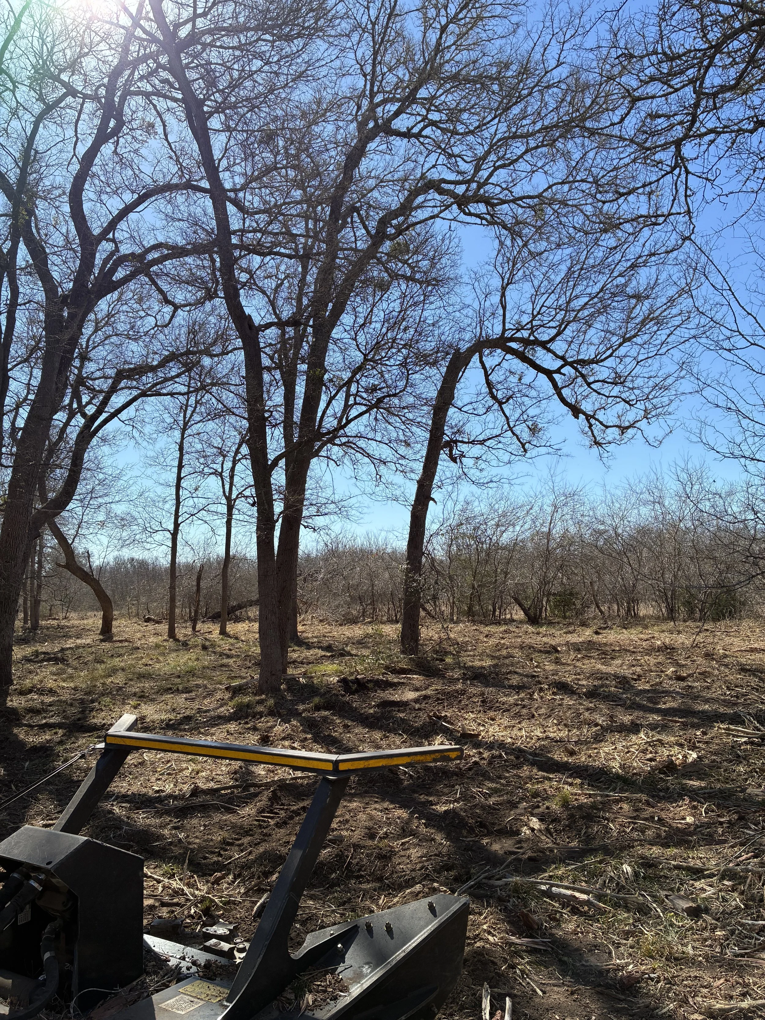 A cleared outdoor area with fallen branches and wood debris, with leafless trees and a blue sky in the background. In the foreground, there are construction or landscaping tools, including a black and yellow piece of equipment on the ground.