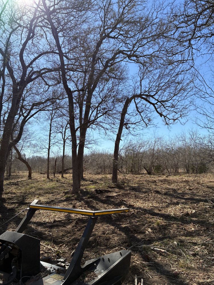 Fence line after clearing and mulching