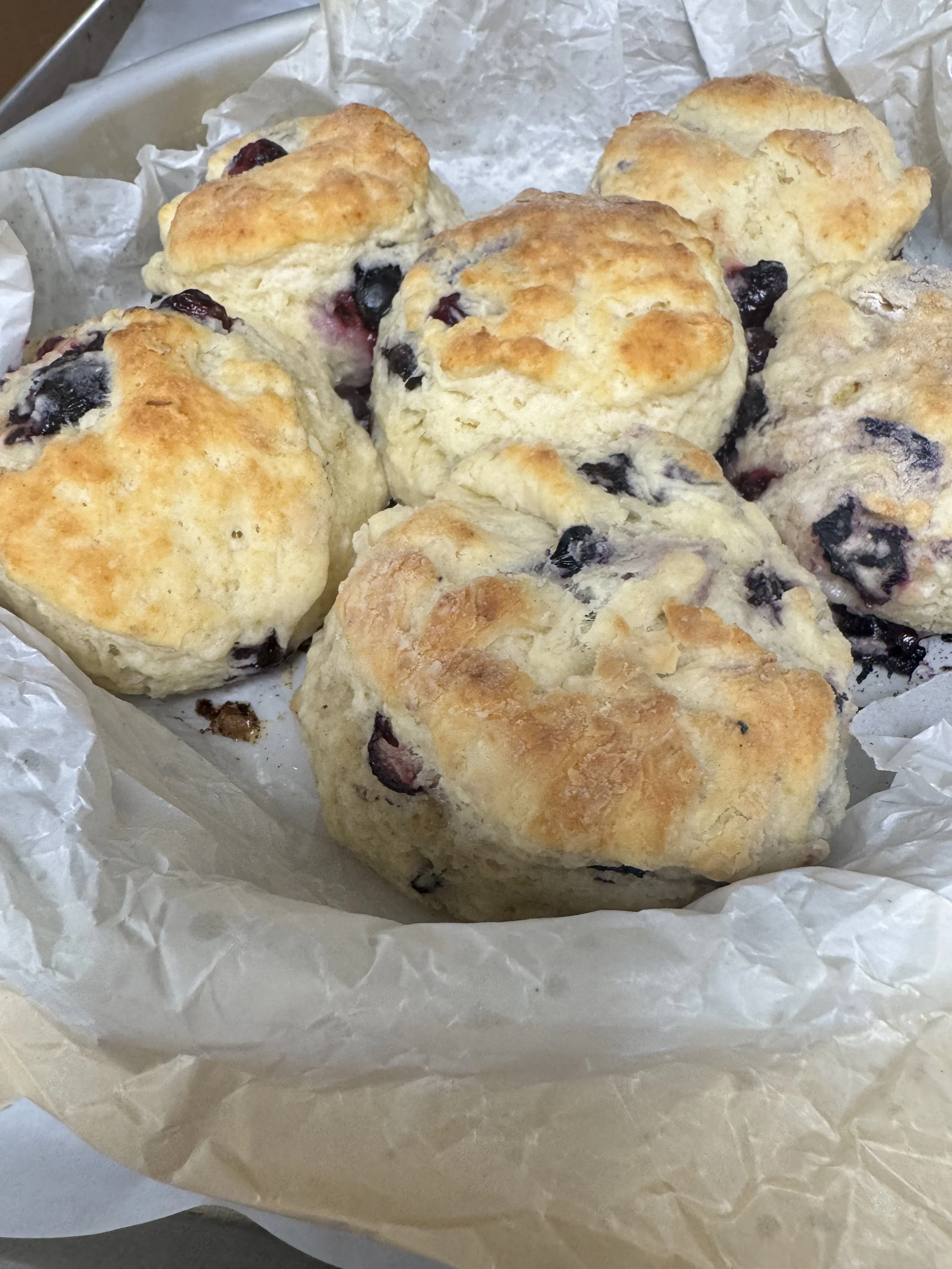 A close-up of several freshly baked blueberry scones on parchment paper.