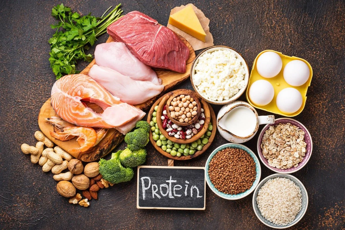 Weight Loss 101 - Protein and Its Benefits