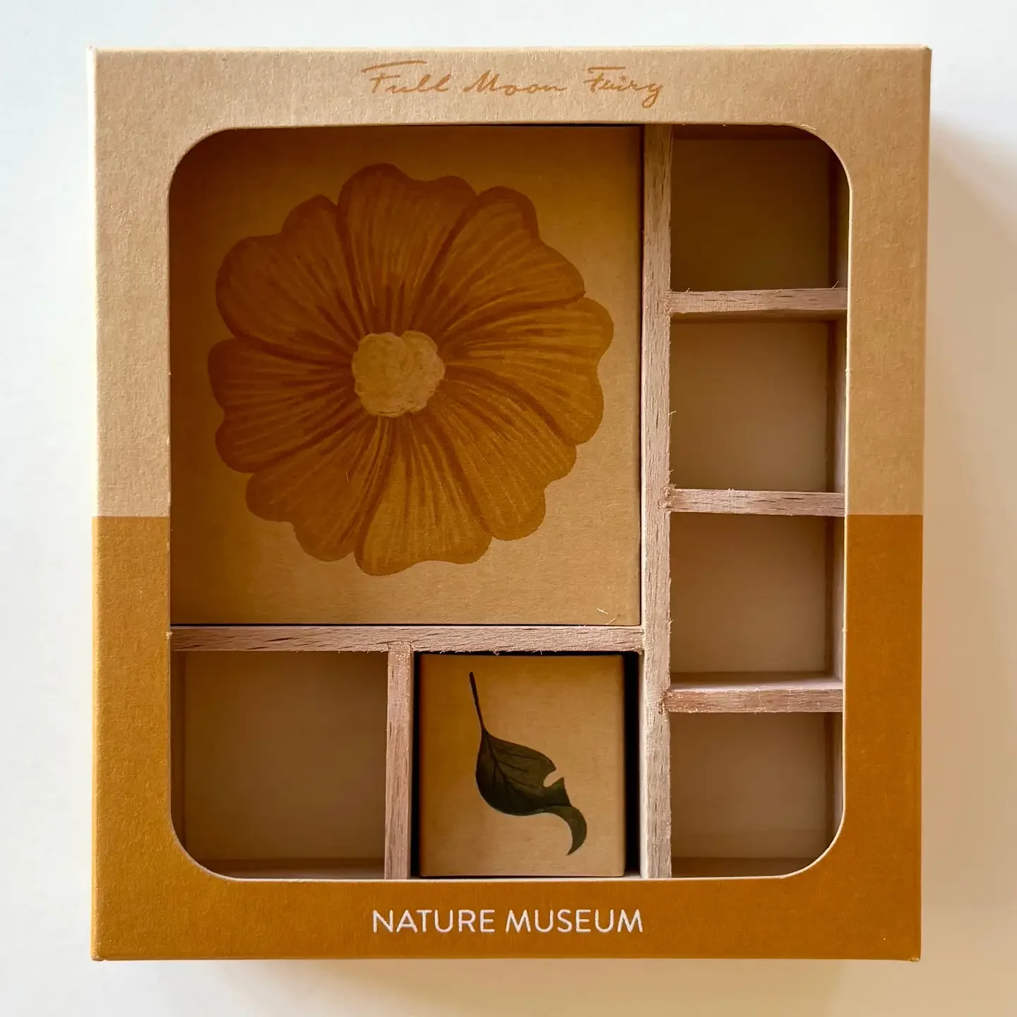 Full Moon Fairy Nature Museum