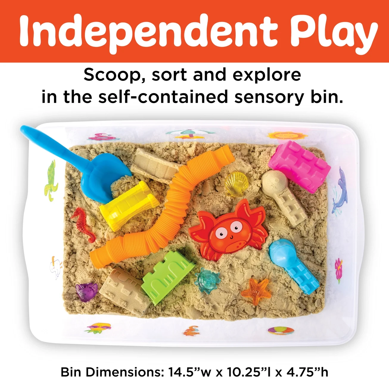 Sensory Bin 5.webp