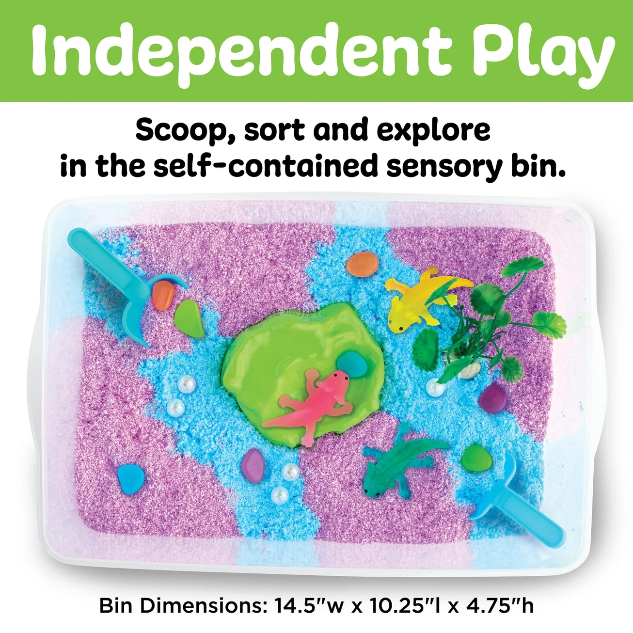 Axolotl Sensory Bin 2.webp