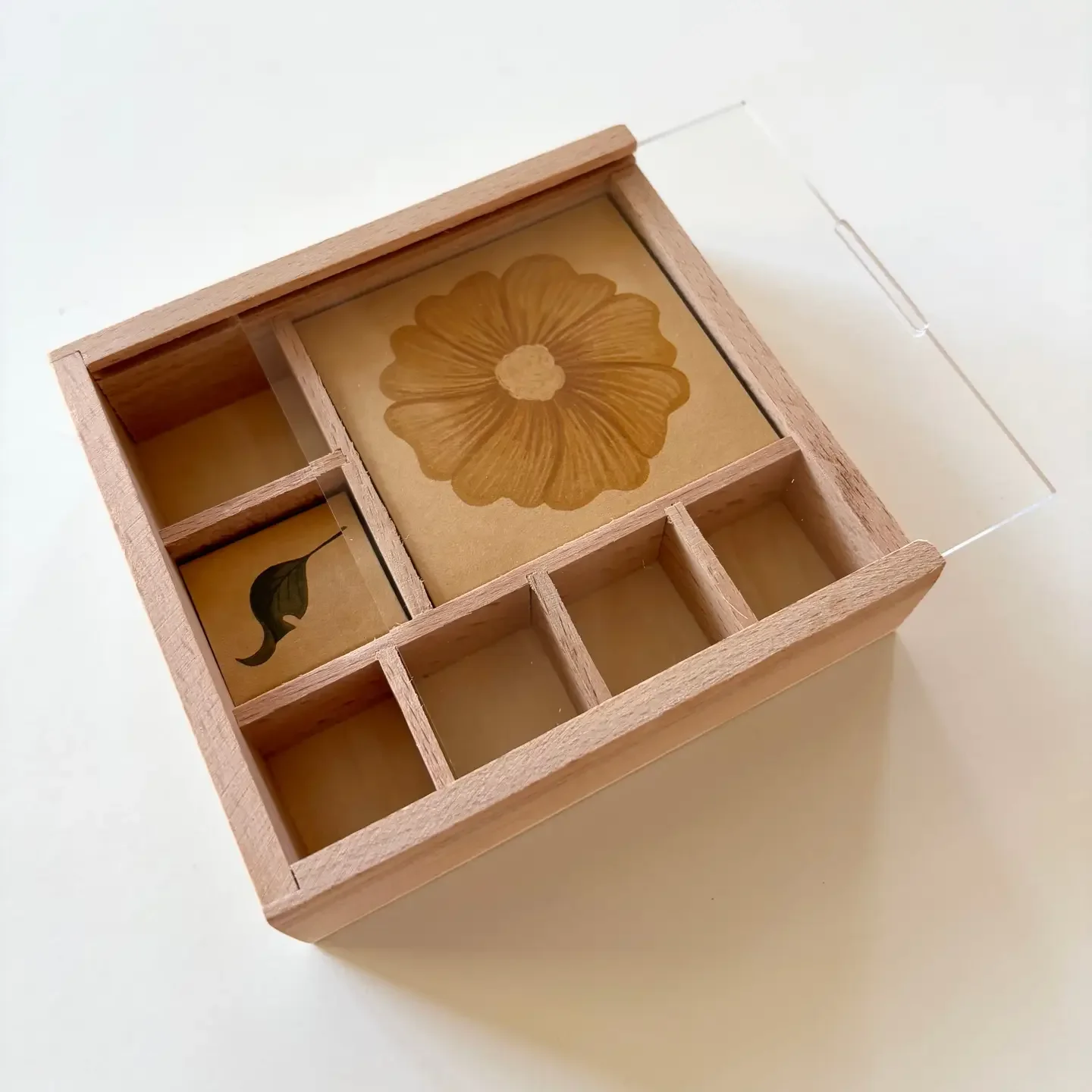 Full Moon Fairy Nature Museum1.webp