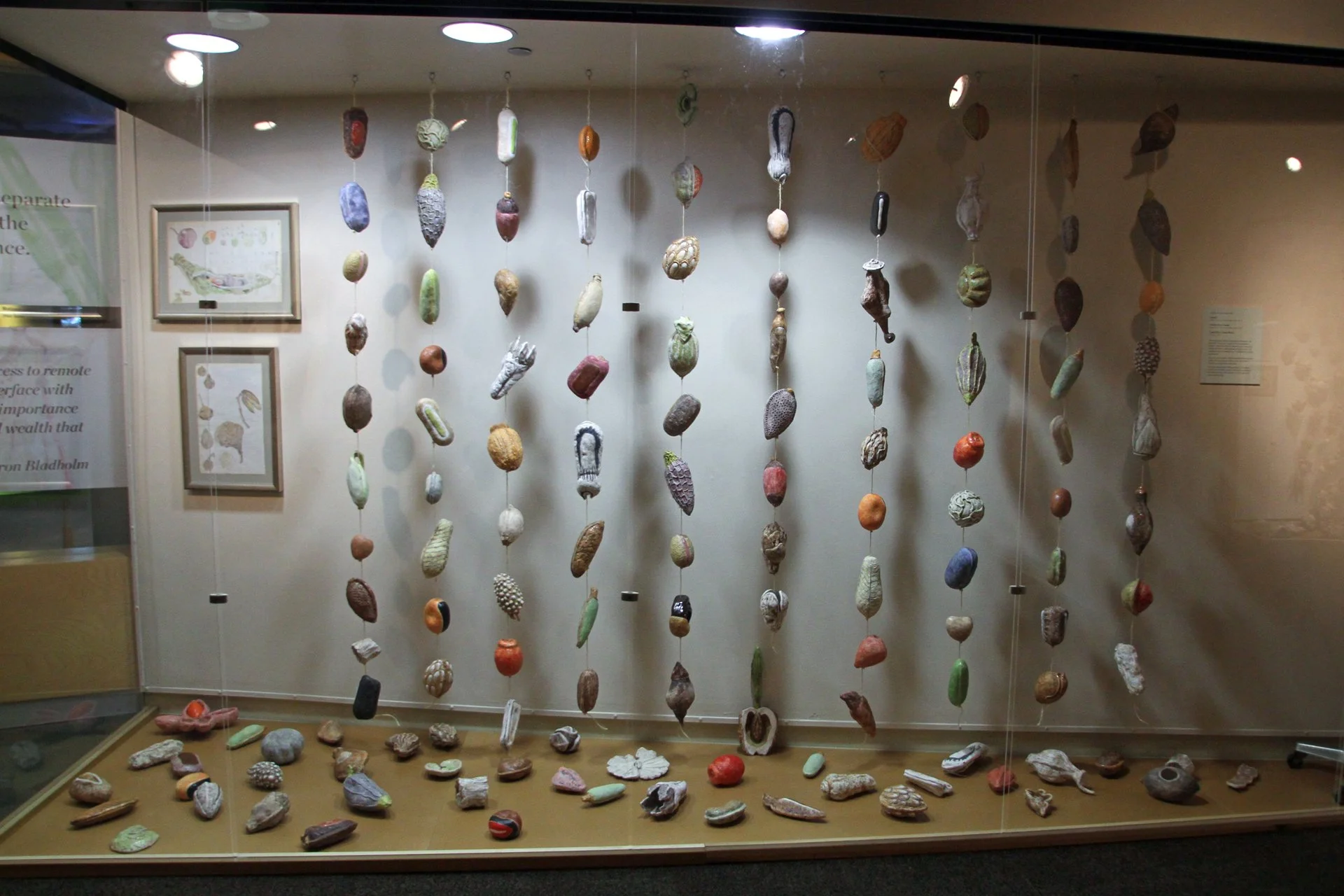 Display of hanging and scattered colorful rocks and stones in a glass museum case.