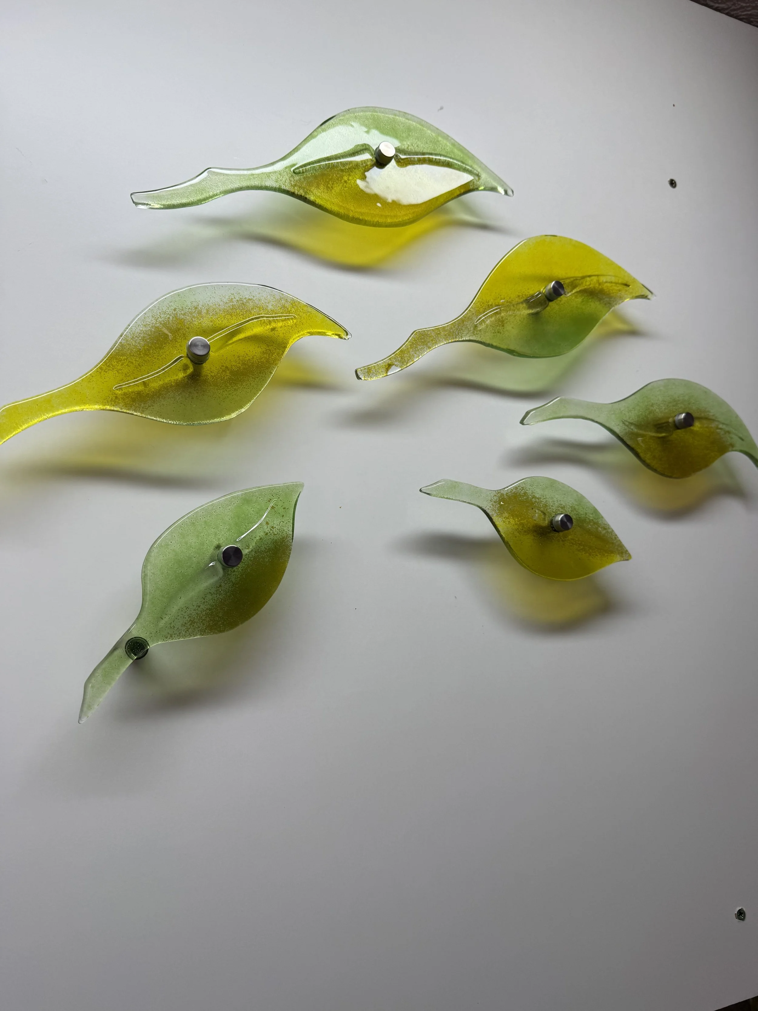 Seasonal leaf drift green yellow