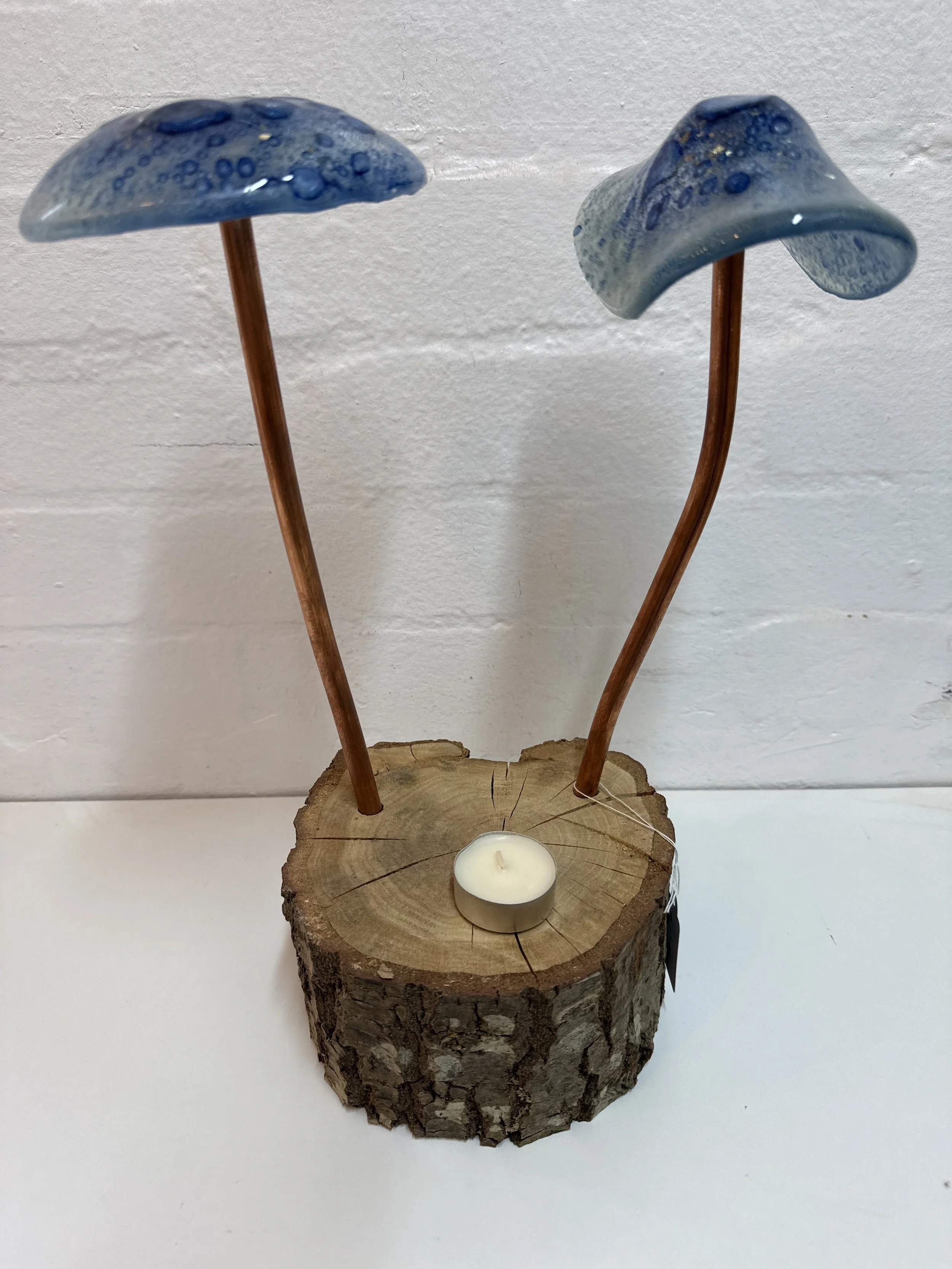 Glass fused mushroom set