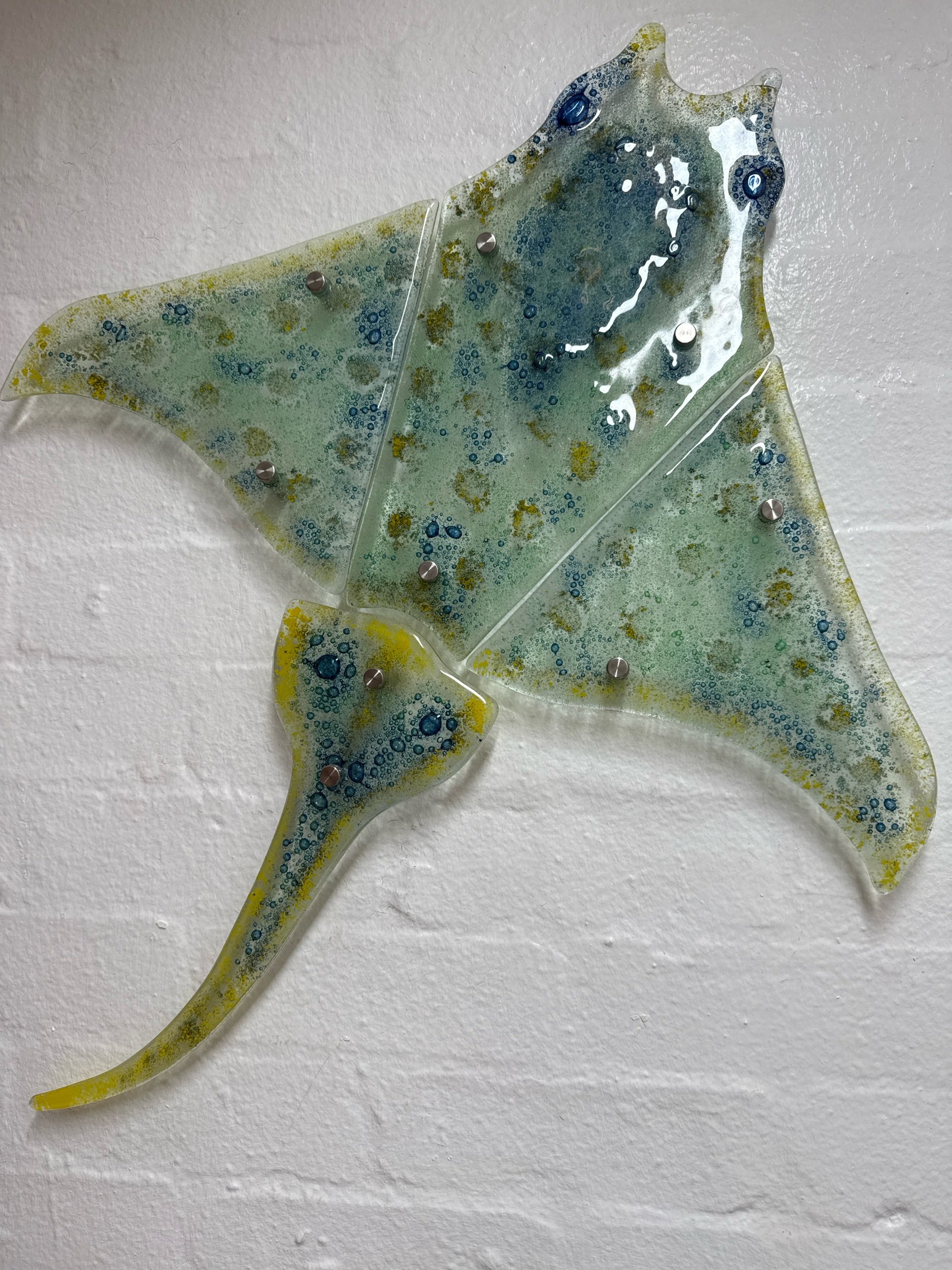 Glass fused Manta Ray