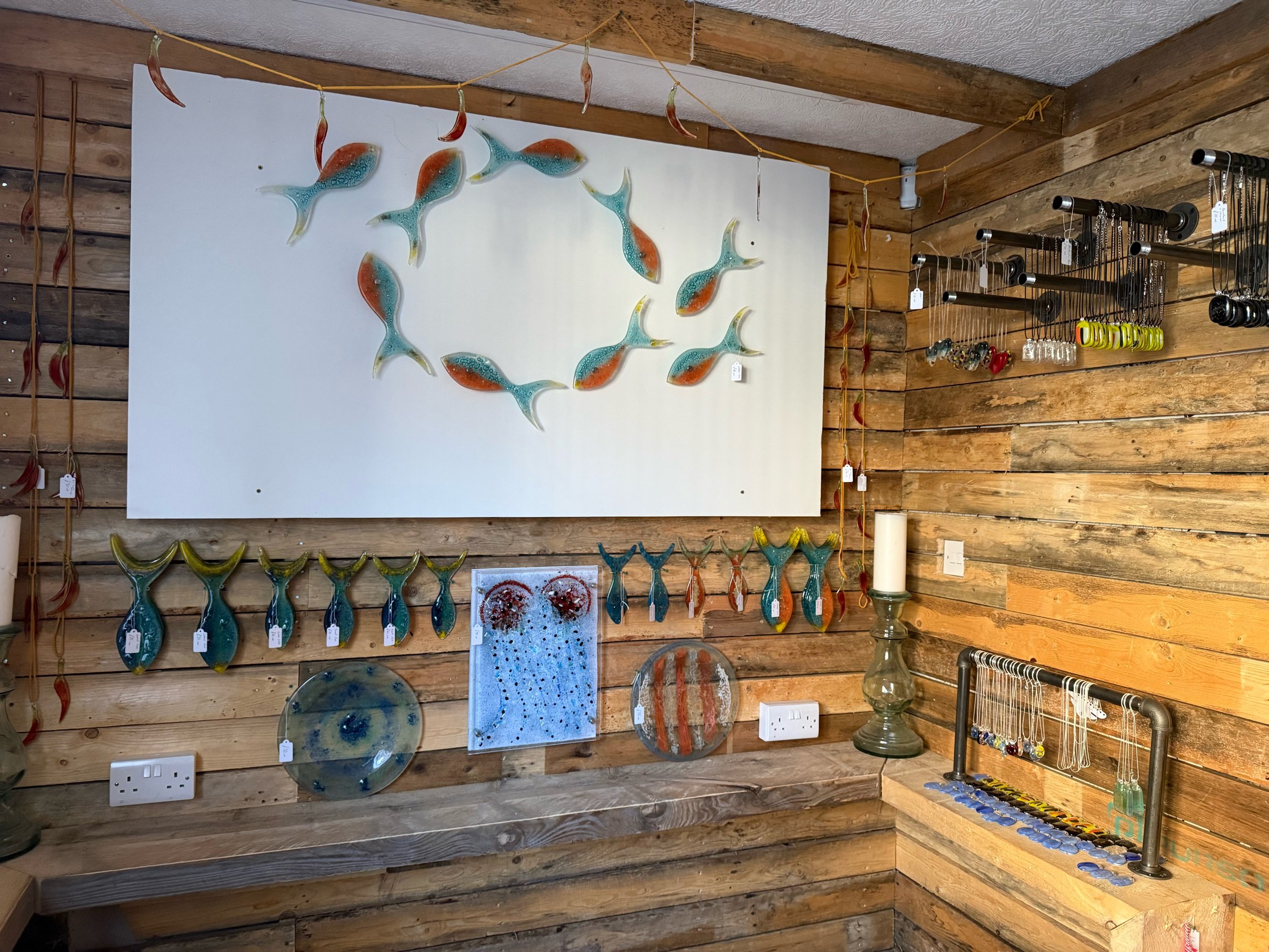 IMG_3782.jpeg (Copy) (Copy) (Copy) (Copy) (Copy) (Copy)