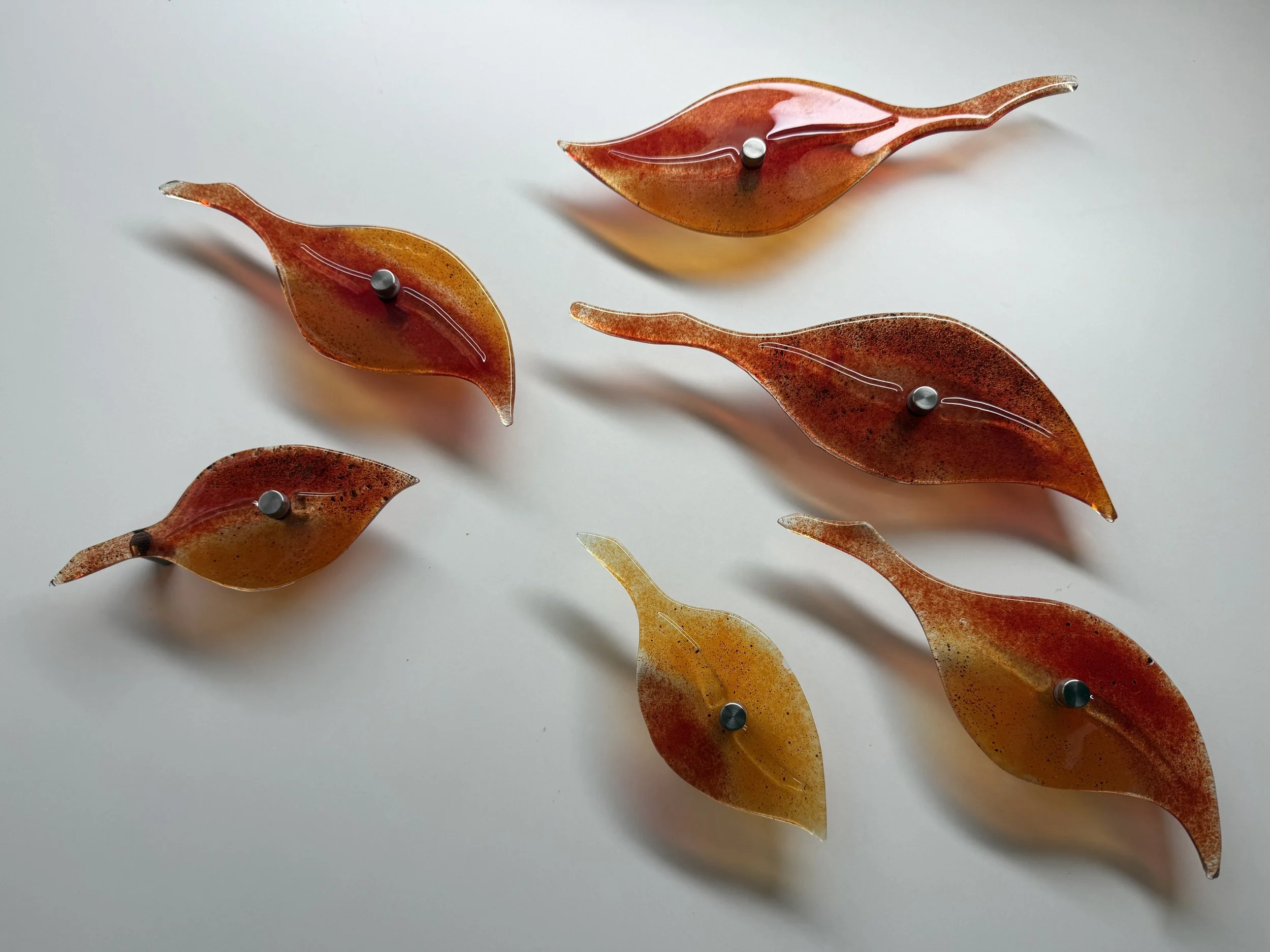 Seasonal leaf drift Red orange brown