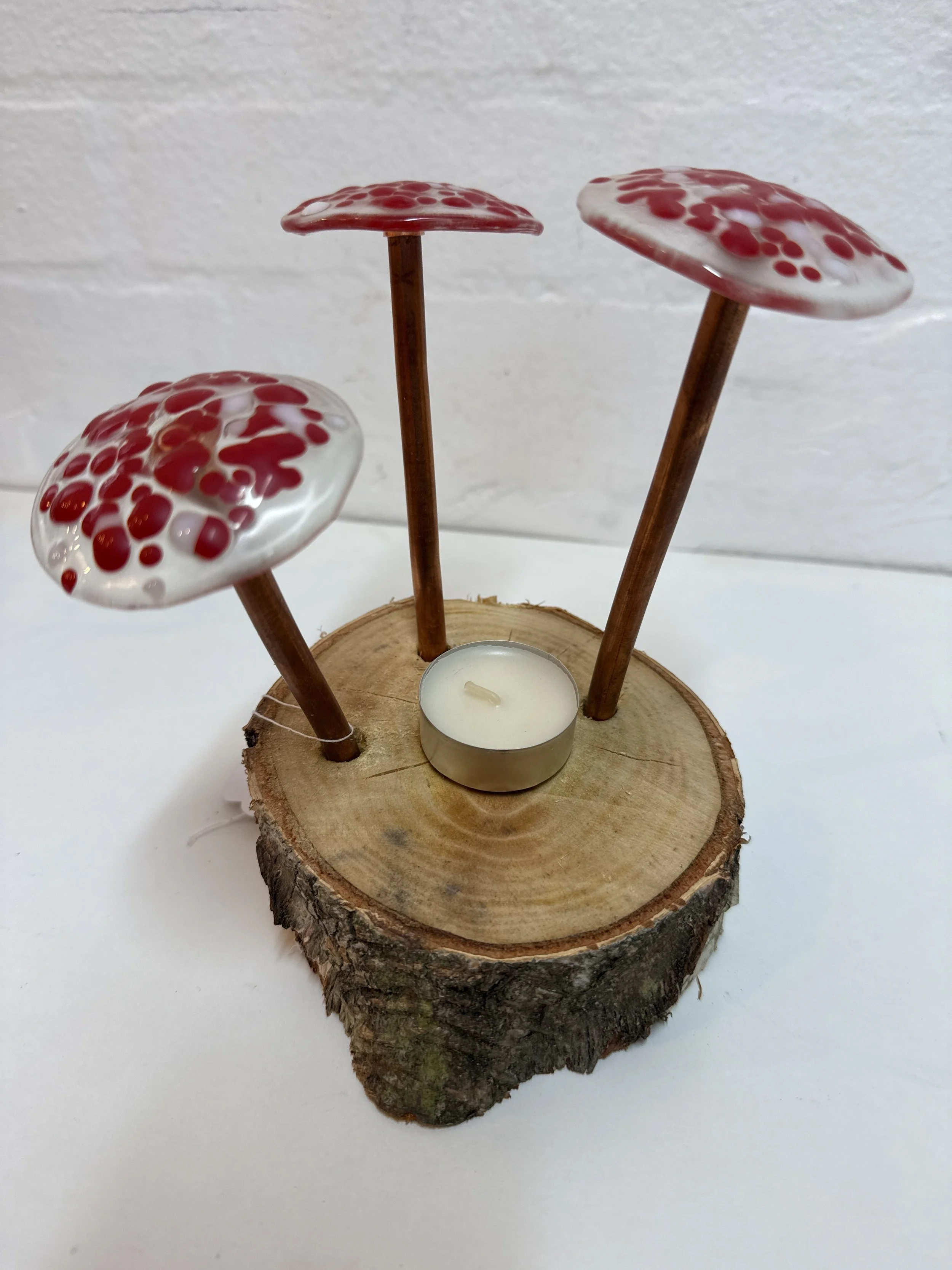 Glass fused mushroom set