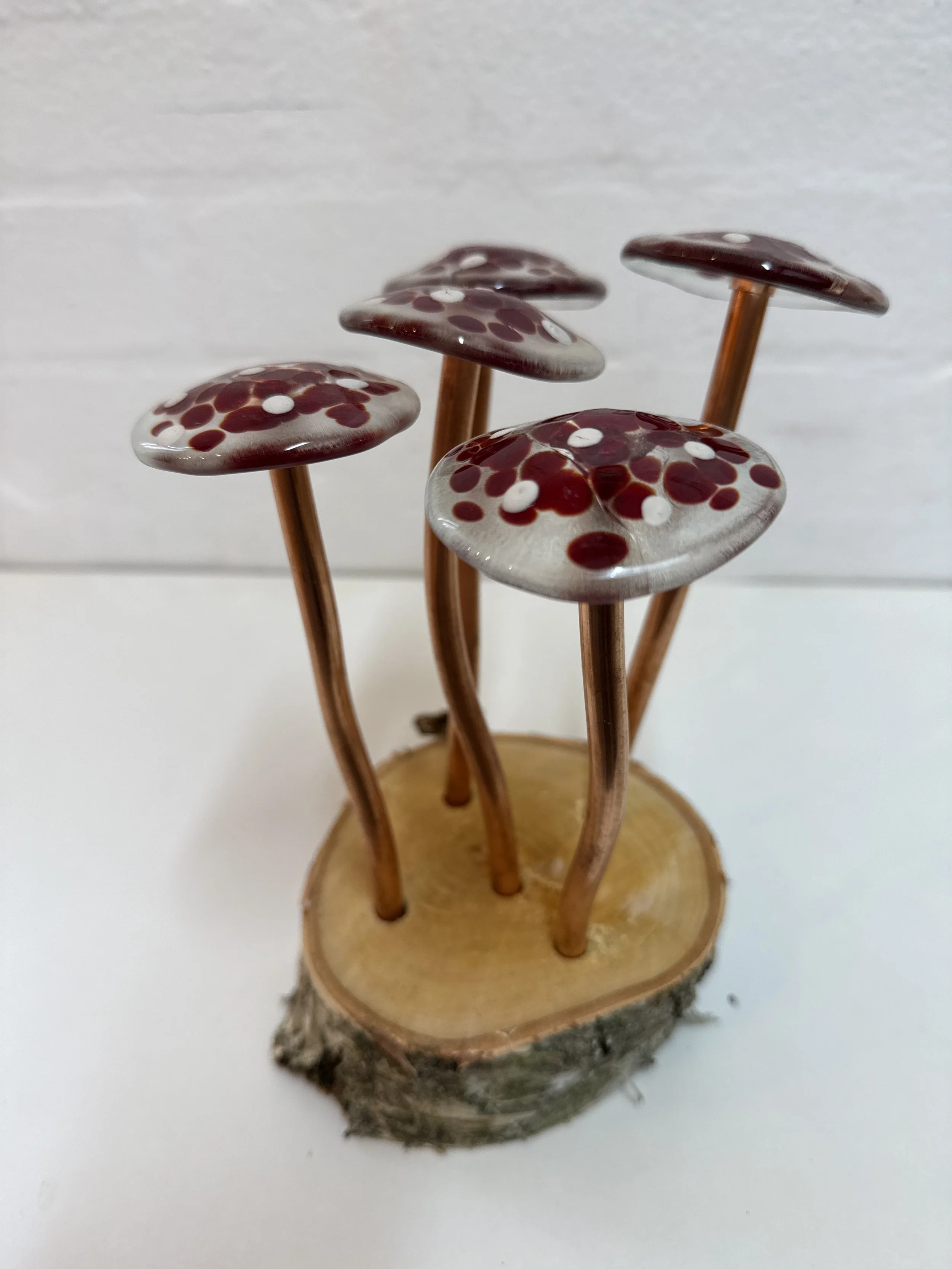 Glass fused mushroom set
