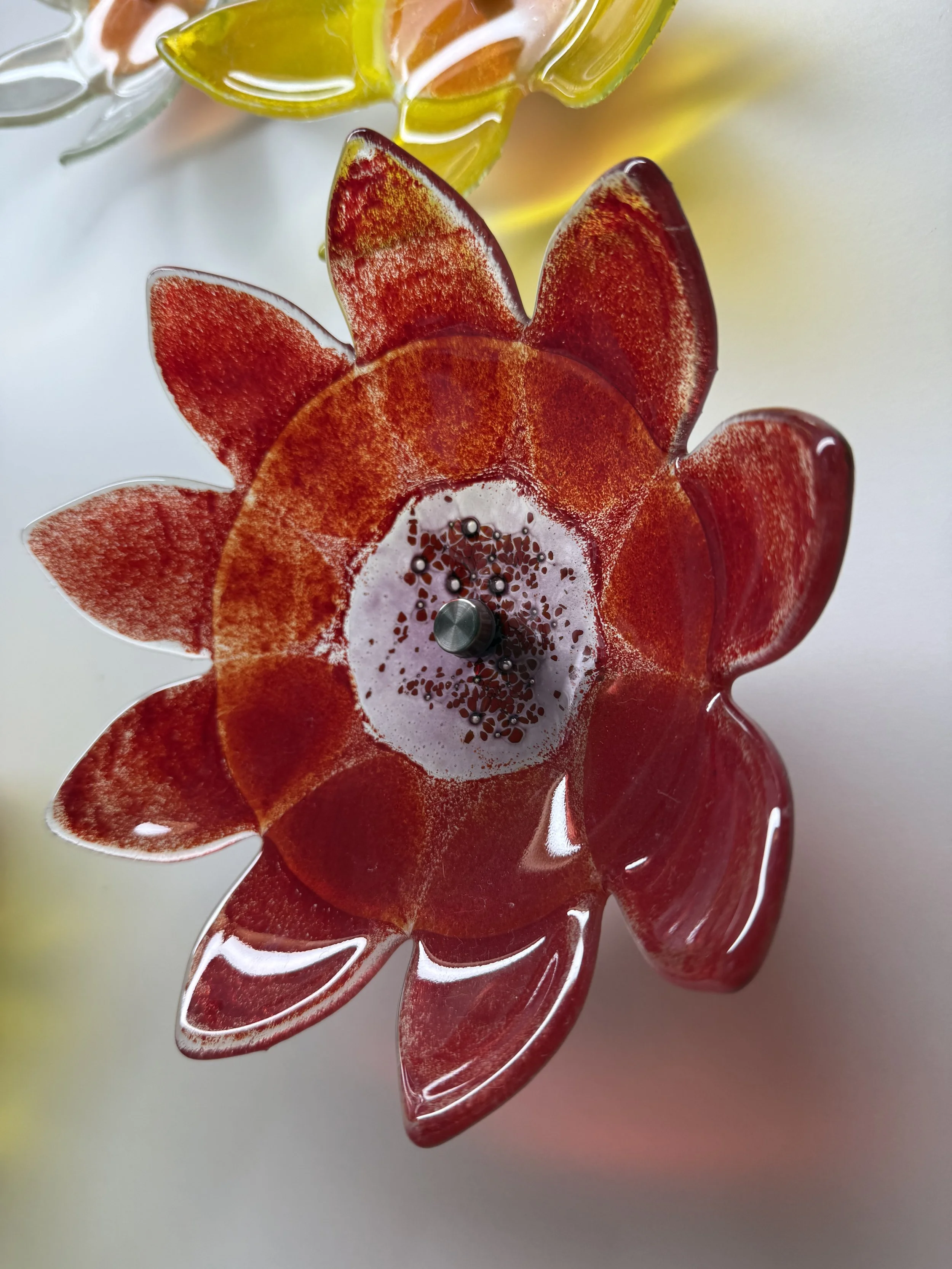 IMG_3898.jpeg (Copy)