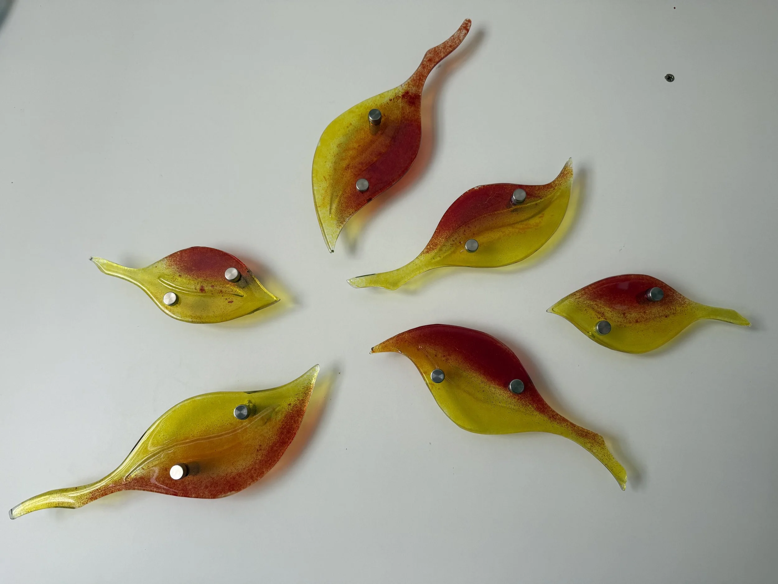 Seasonal leaf drift Red yellow