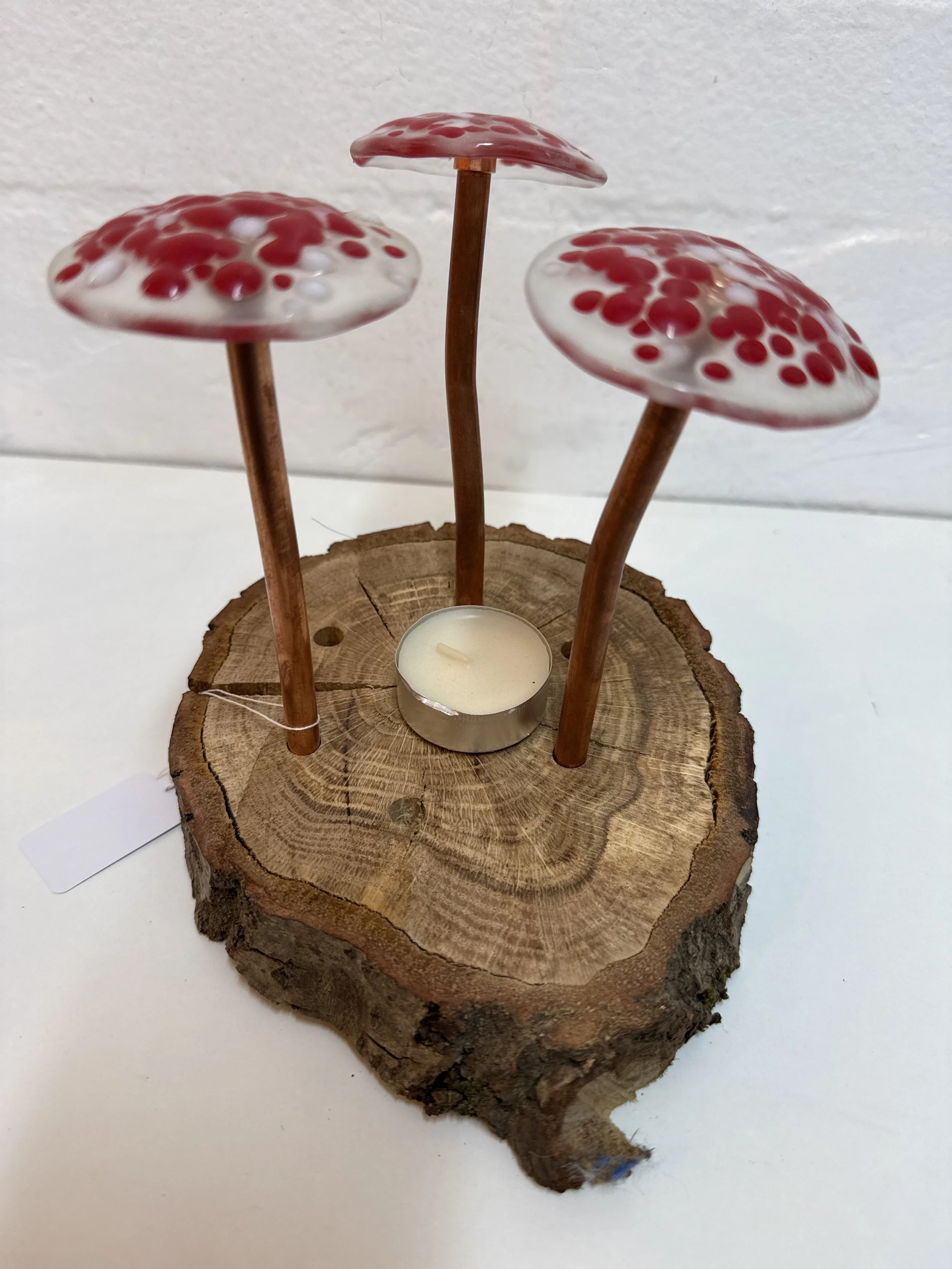 Glass fused mushroom set