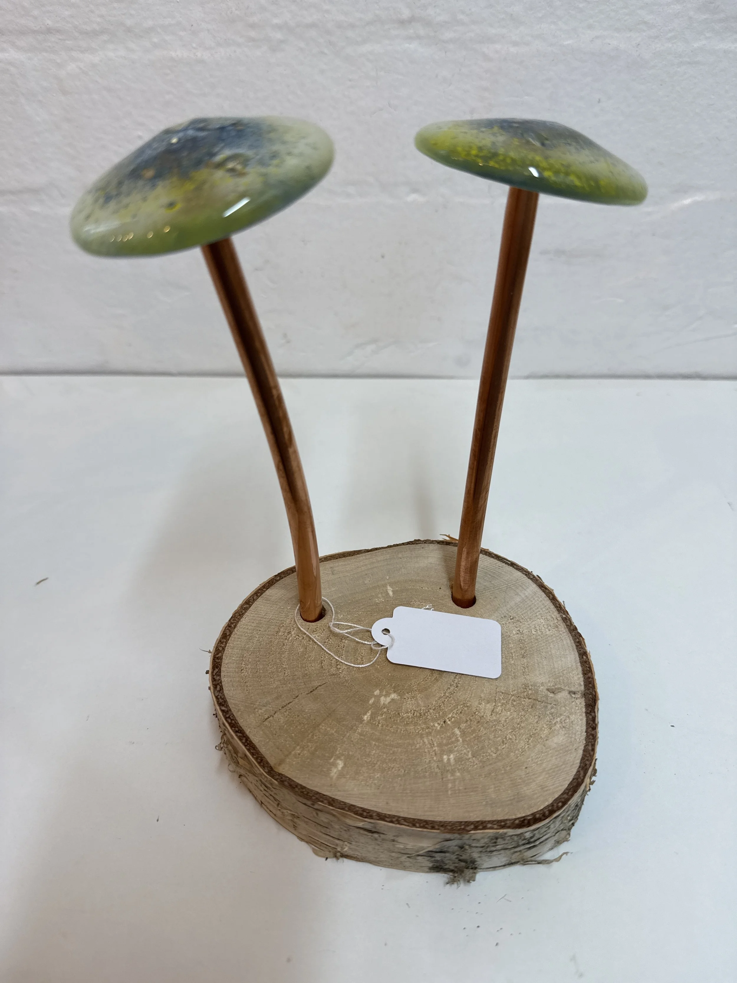 Glass fused mushroom set