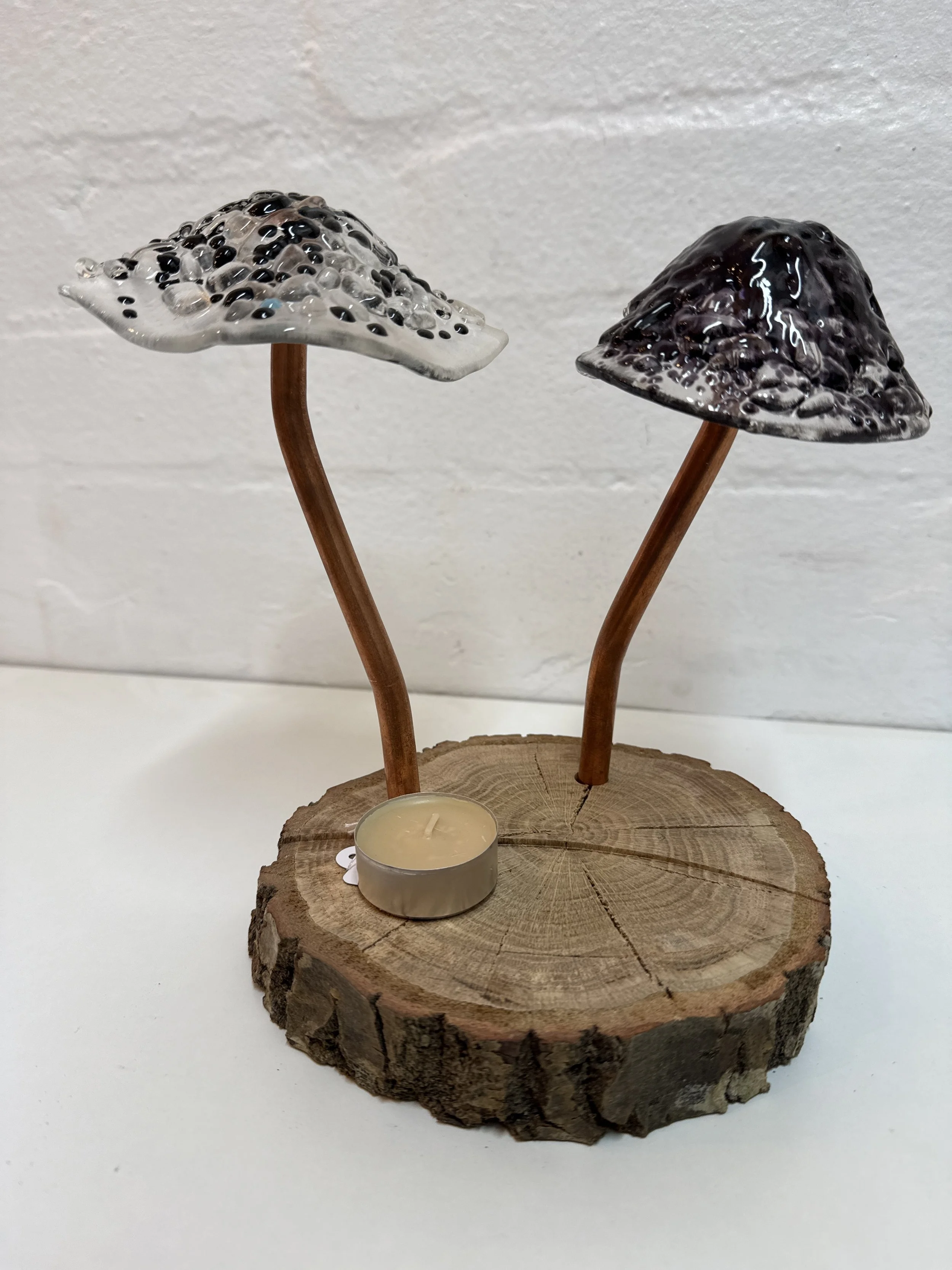 Glass fused mushroom set