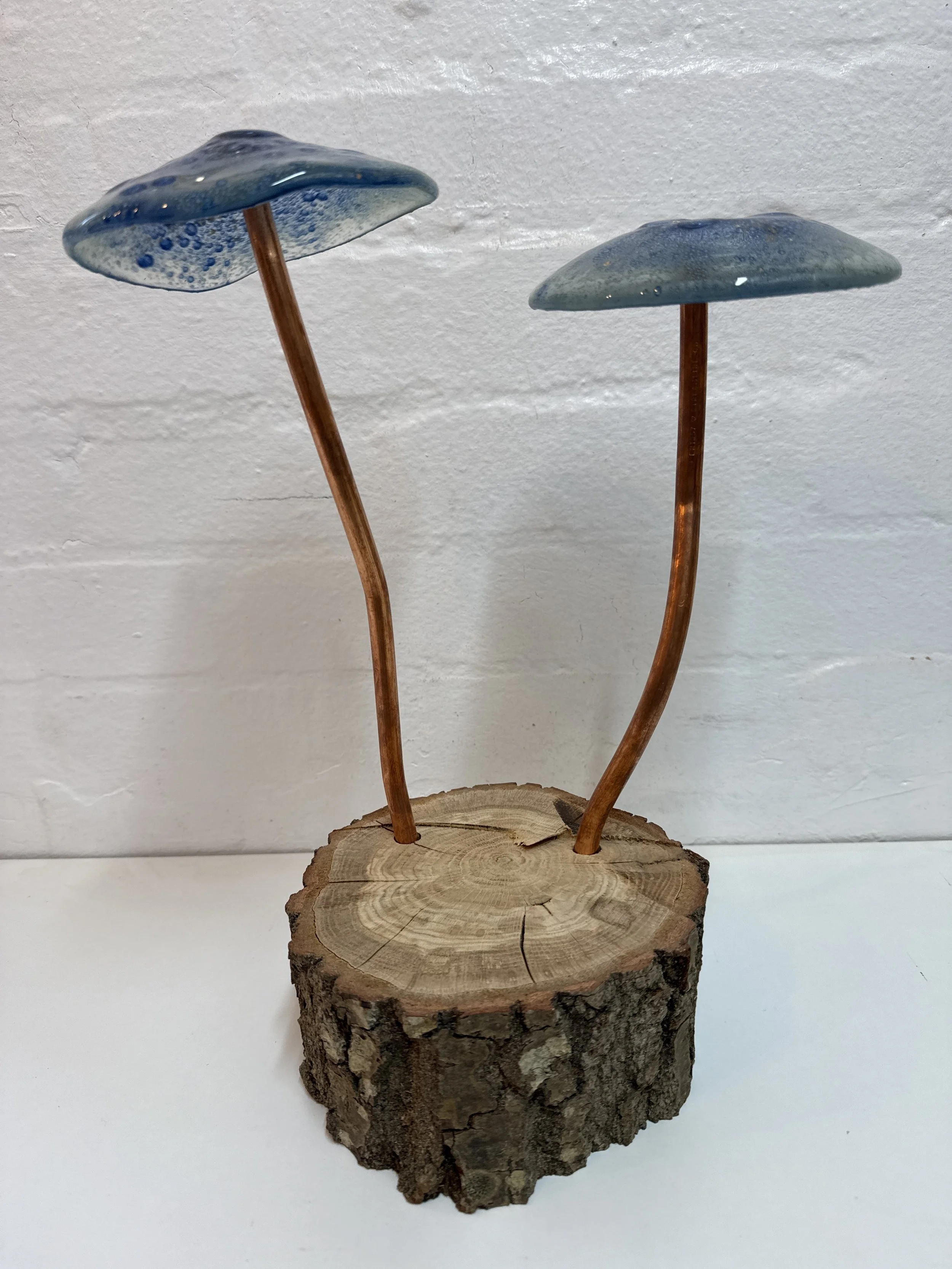 Glass fused mushroom set
