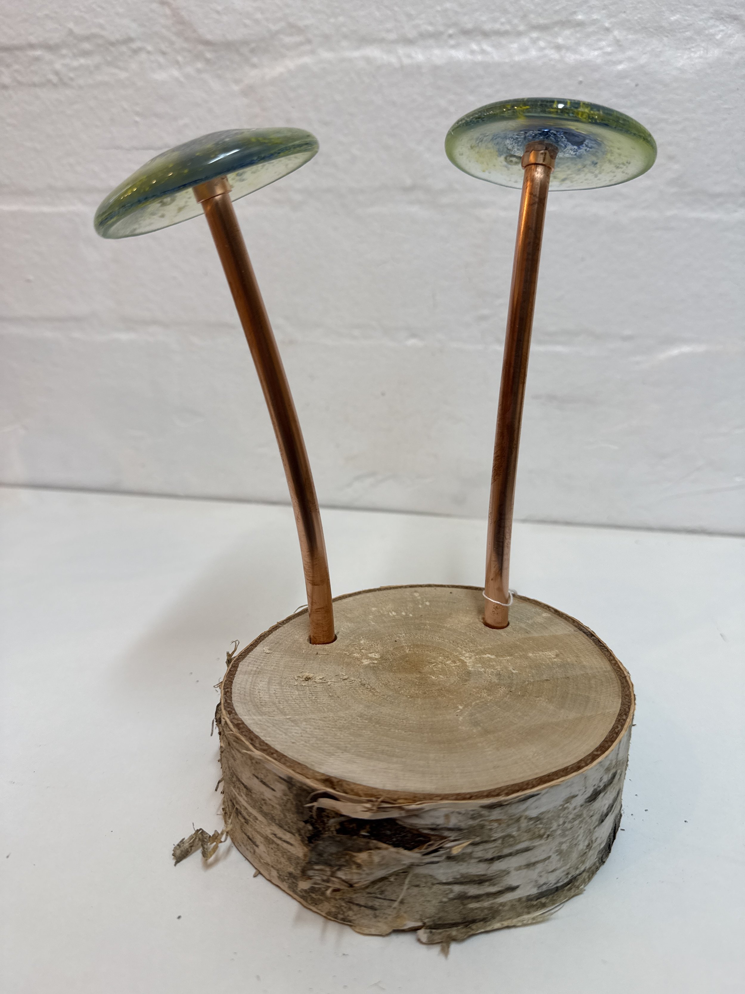 Glass fused mushroom set