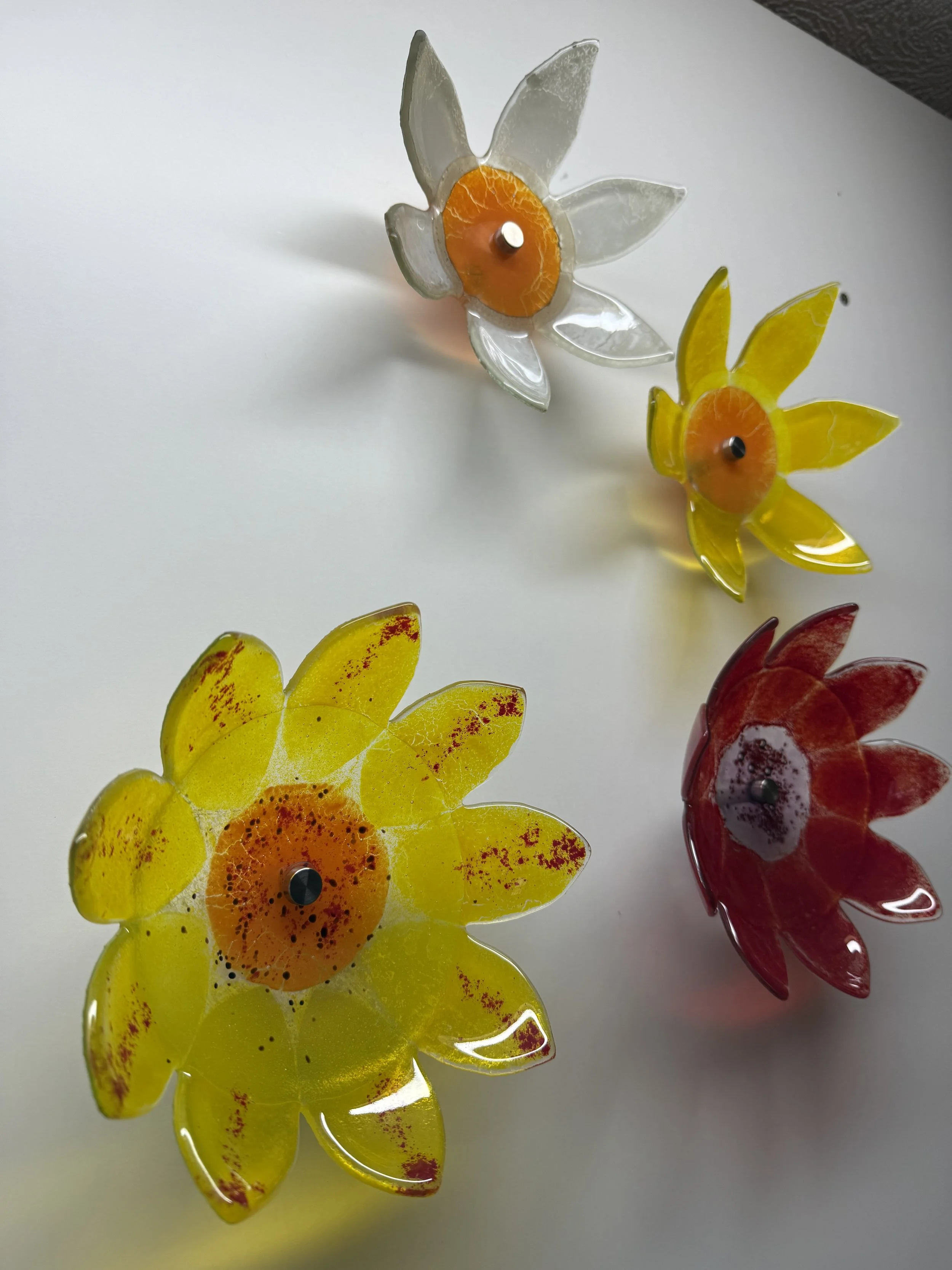 IMG_3897.jpeg (Copy)