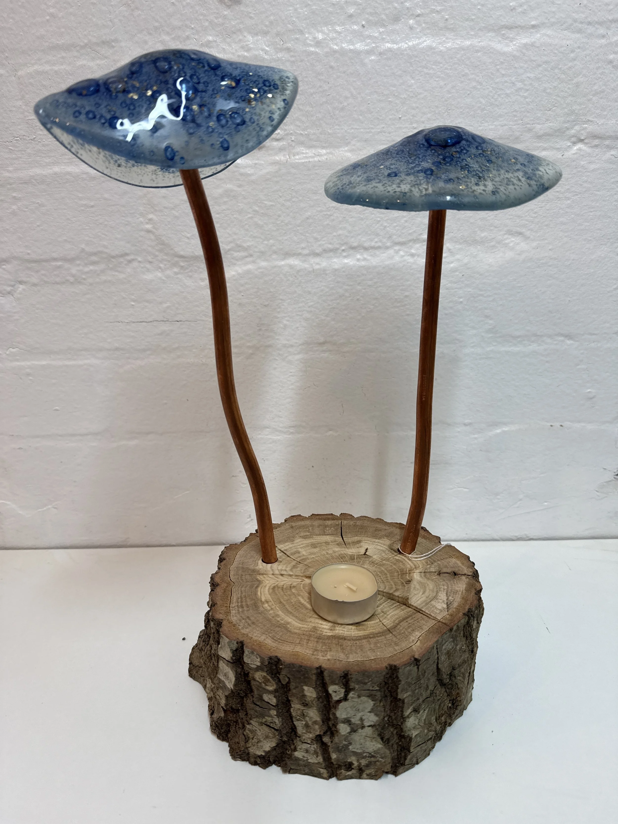 Glass fused  mushroom set