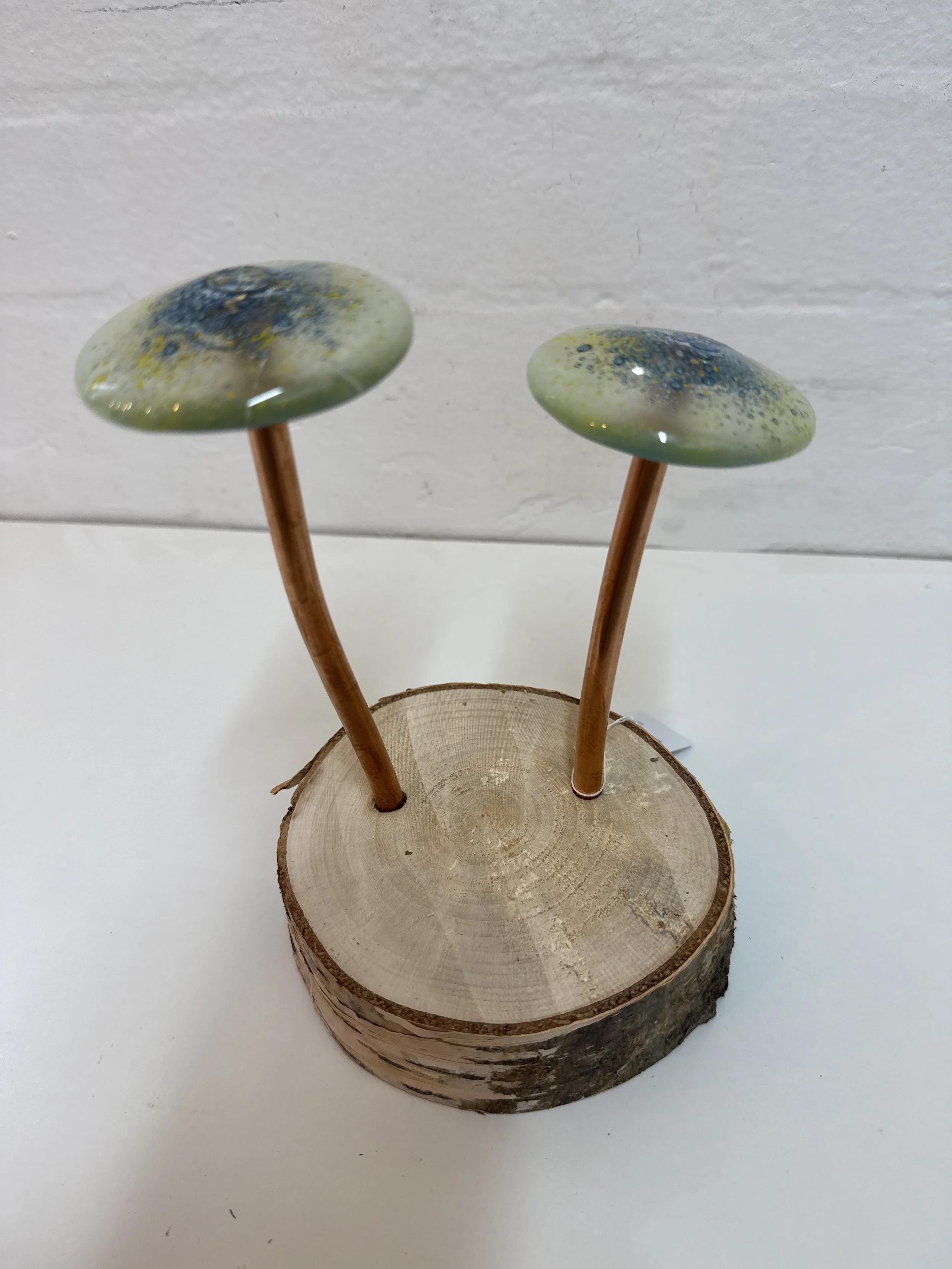 Glass fused mushroom set
