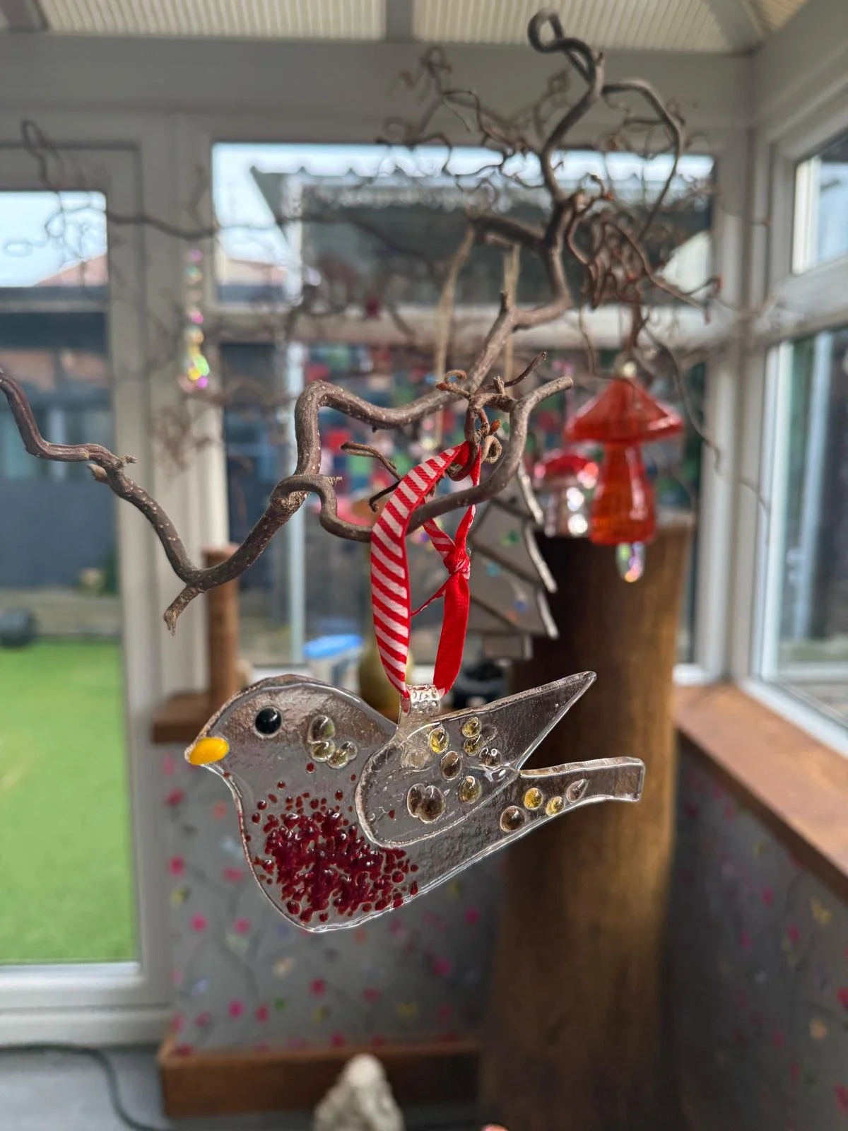 Robbin on show in a customers home