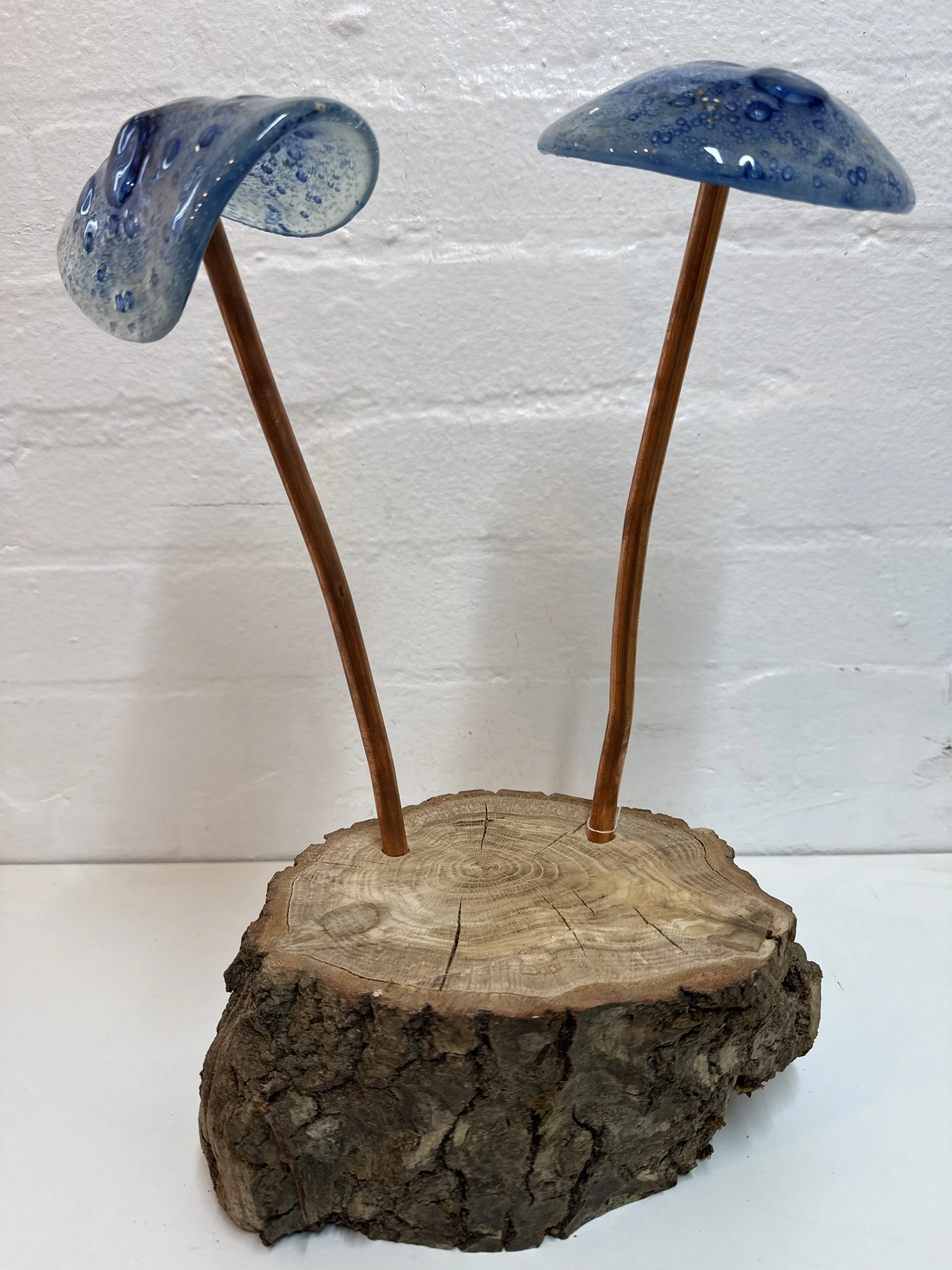 Glass fused mushroom set