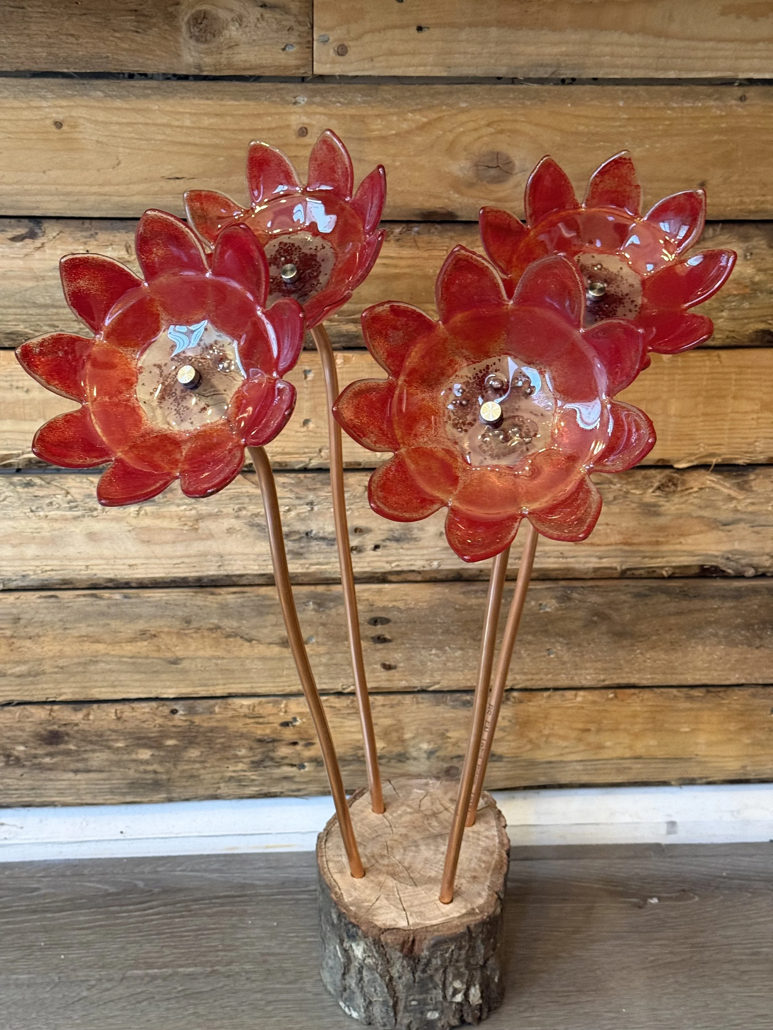 IMG_3877.jpeg (Copy)