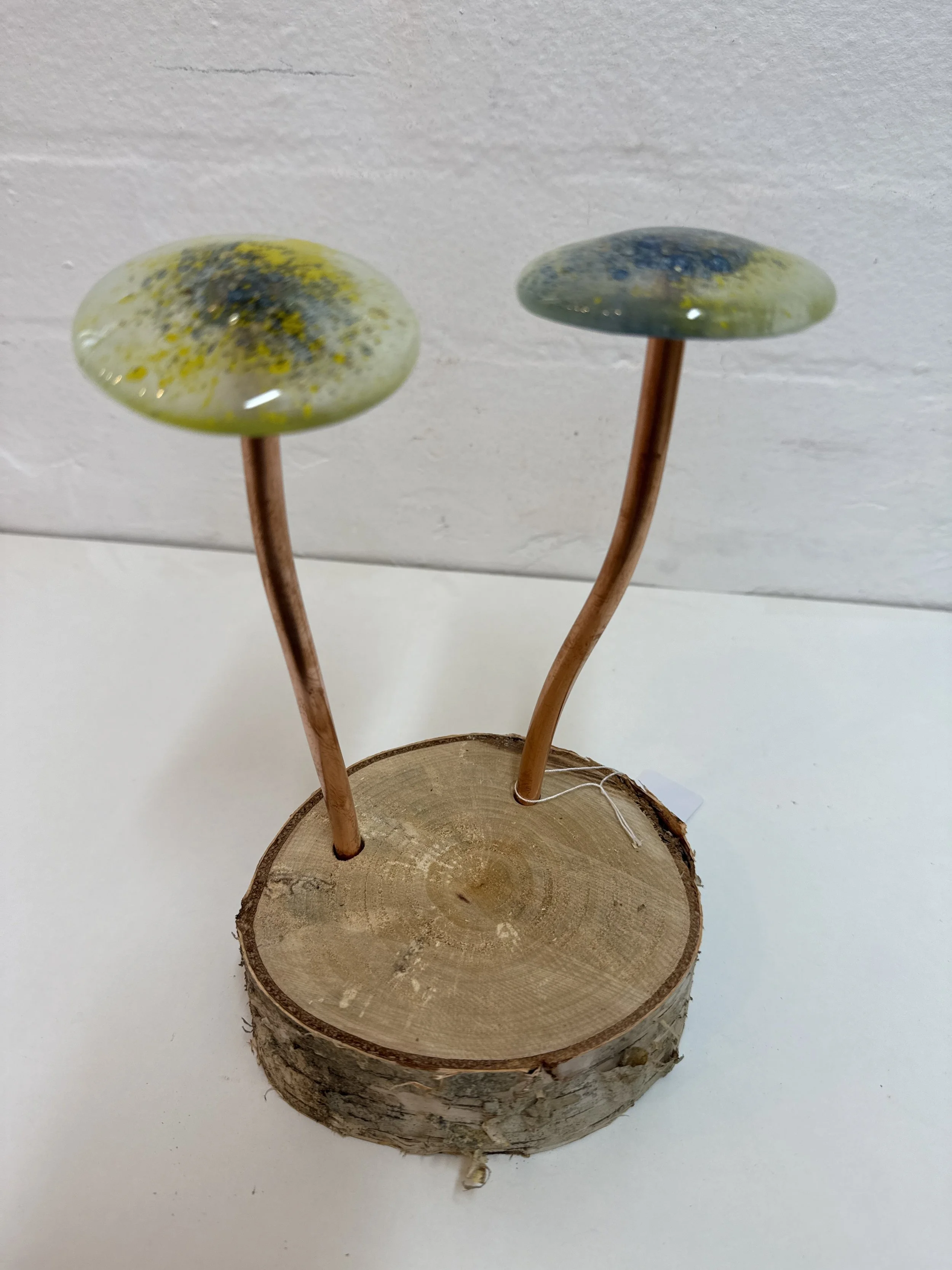 Glass fused mushroom set