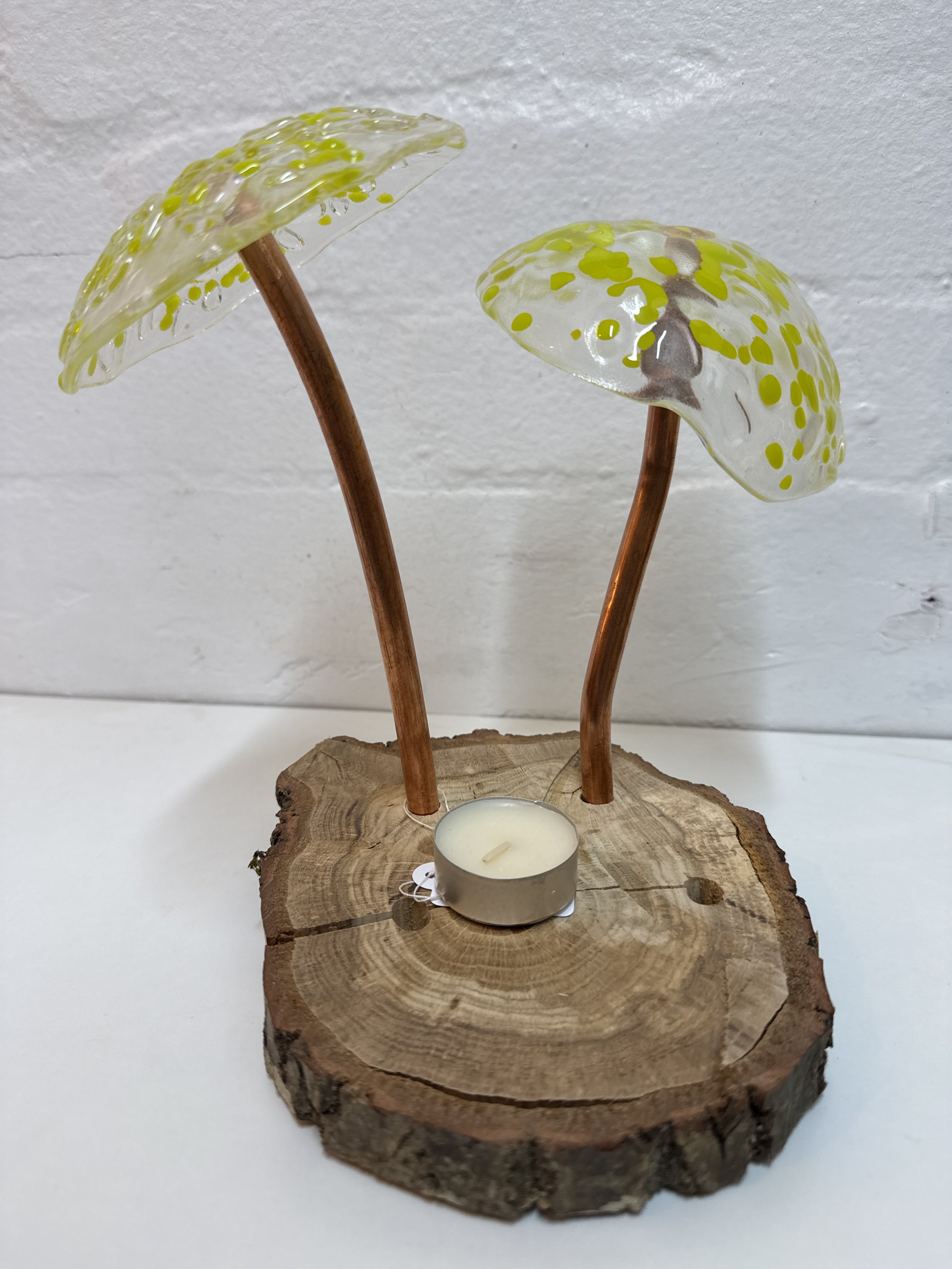 Glass fused Mushroom set