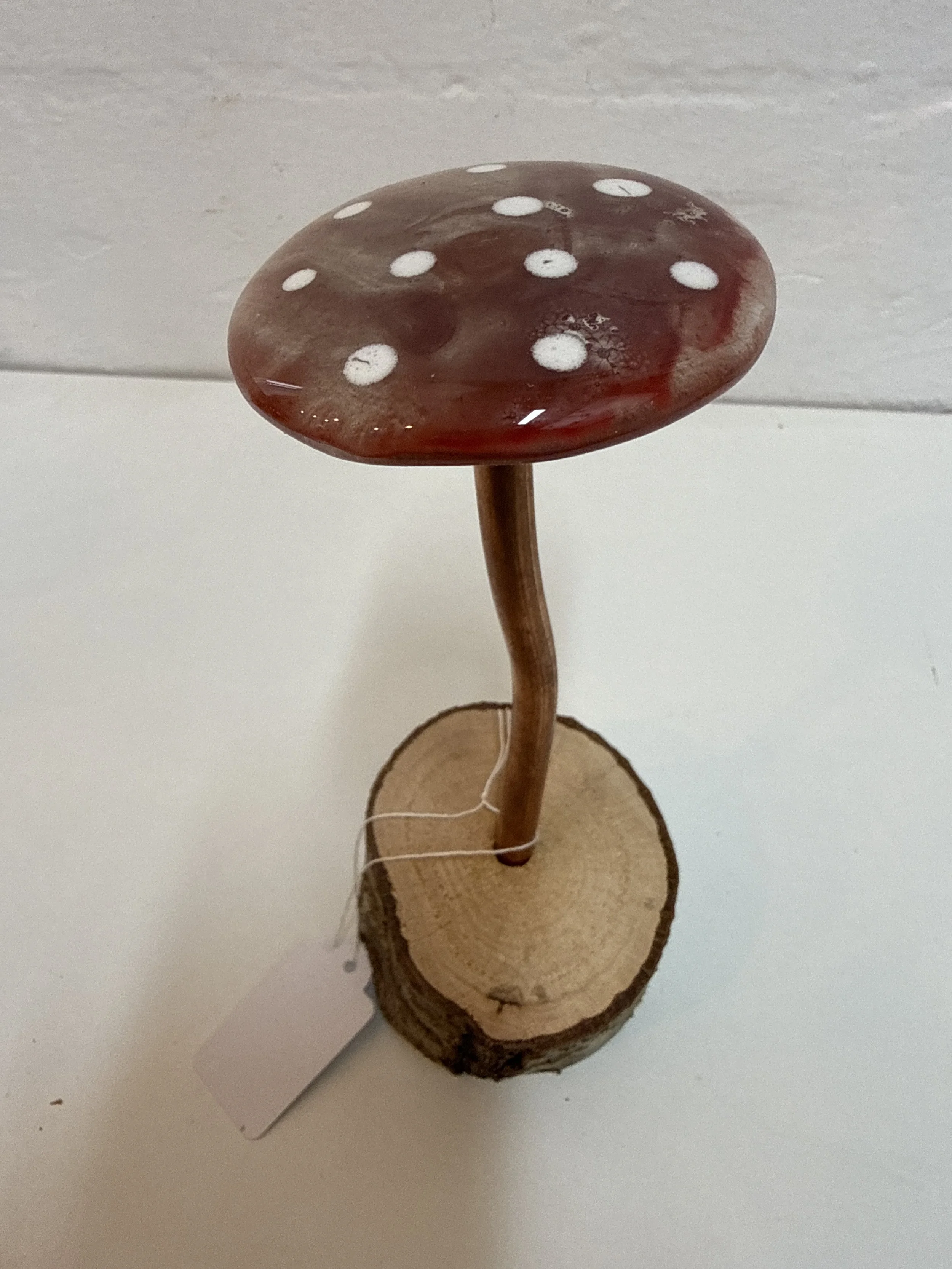 Glass fused mushroom