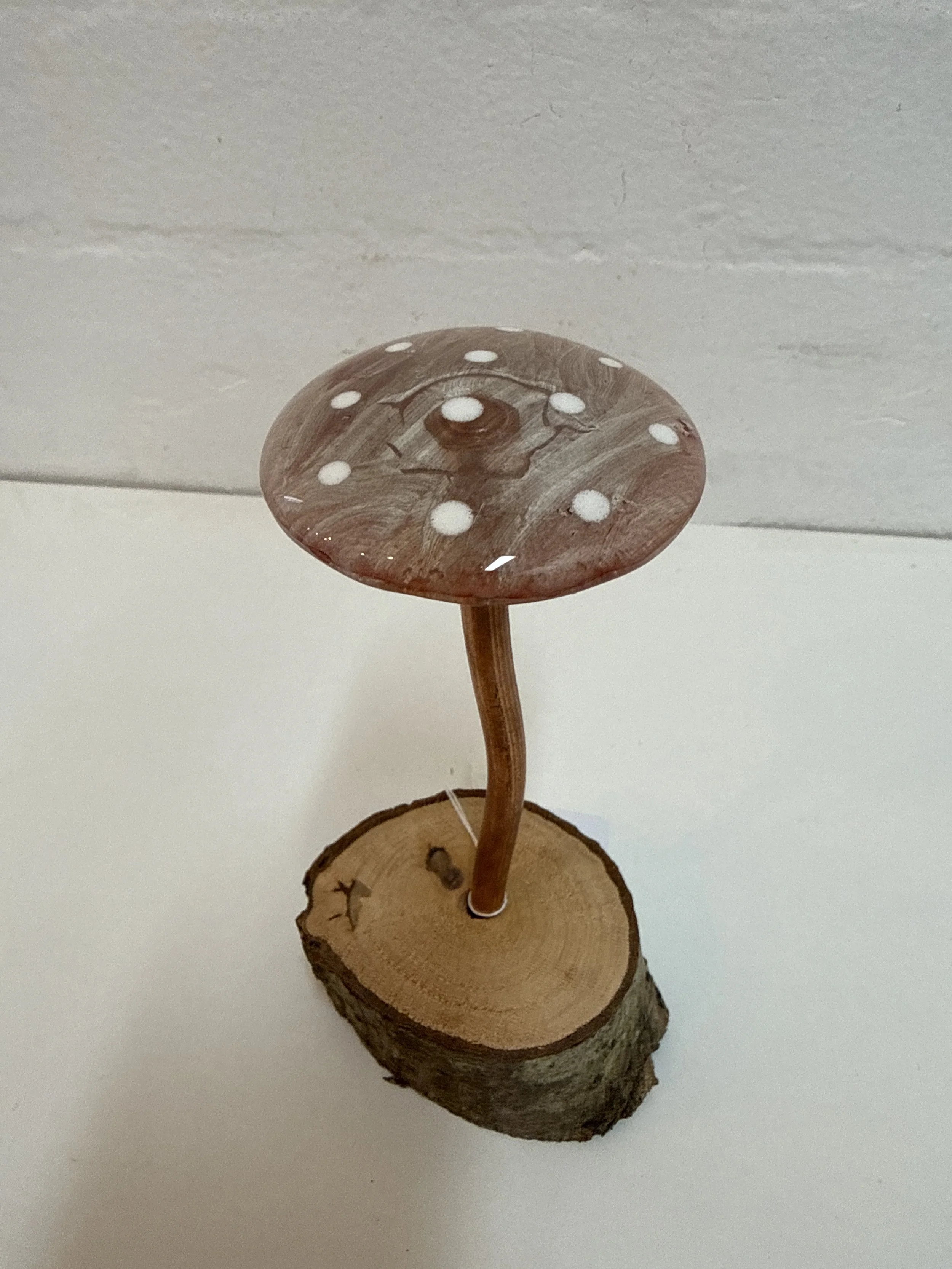 Glass fused mushroom