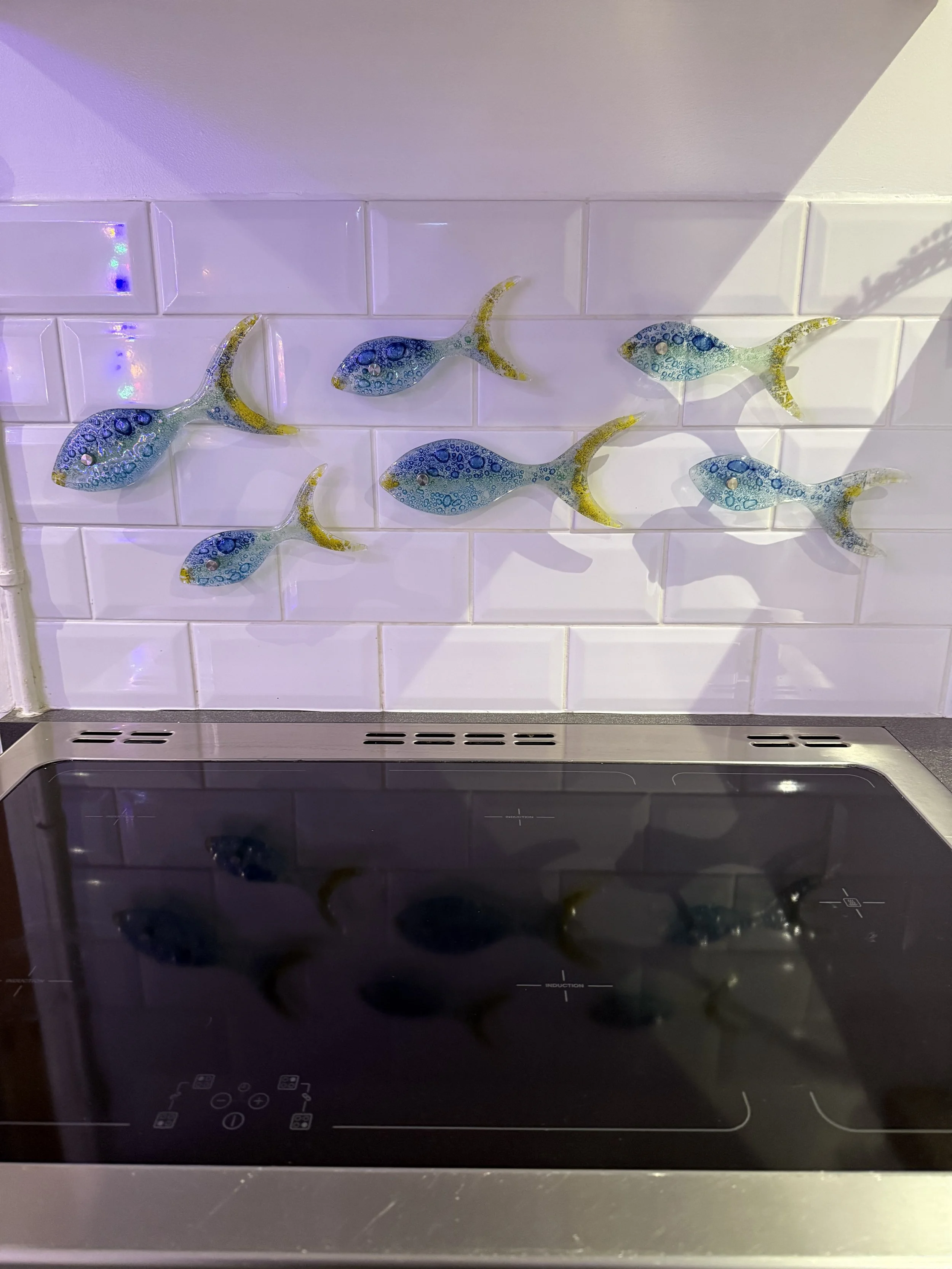 Glass fused fish shole put up in a clients house