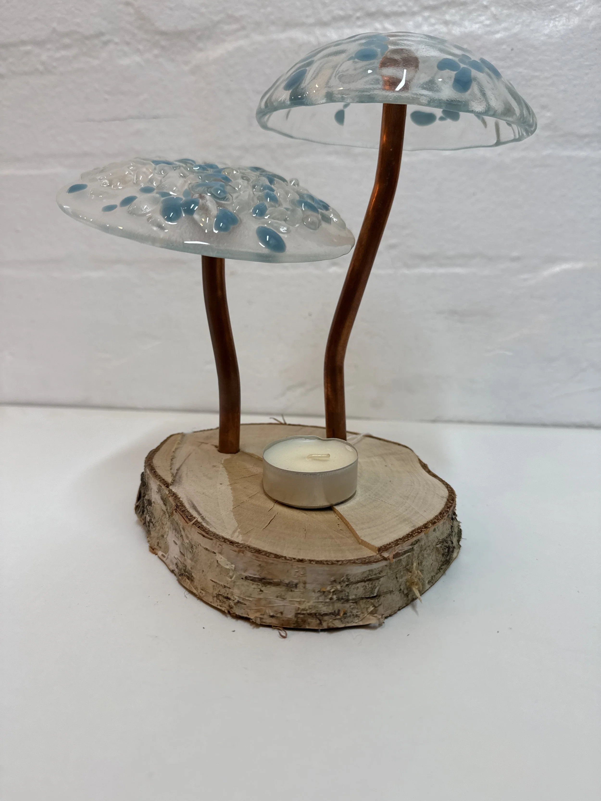 Glass fused mushroom set