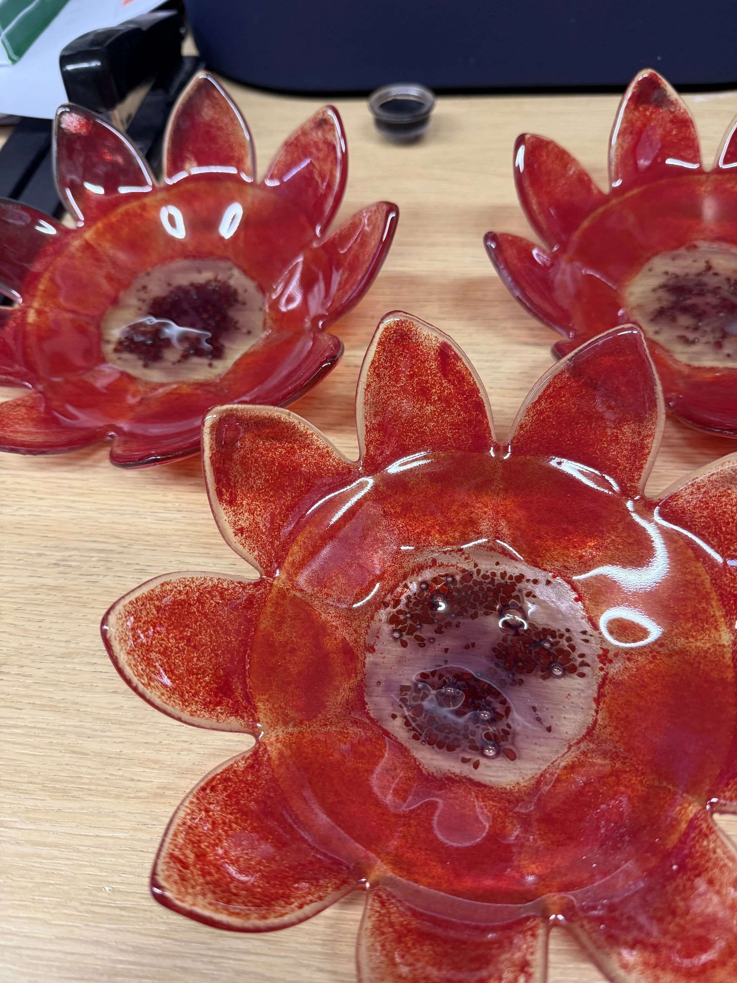 IMG_3870.jpeg (Copy)