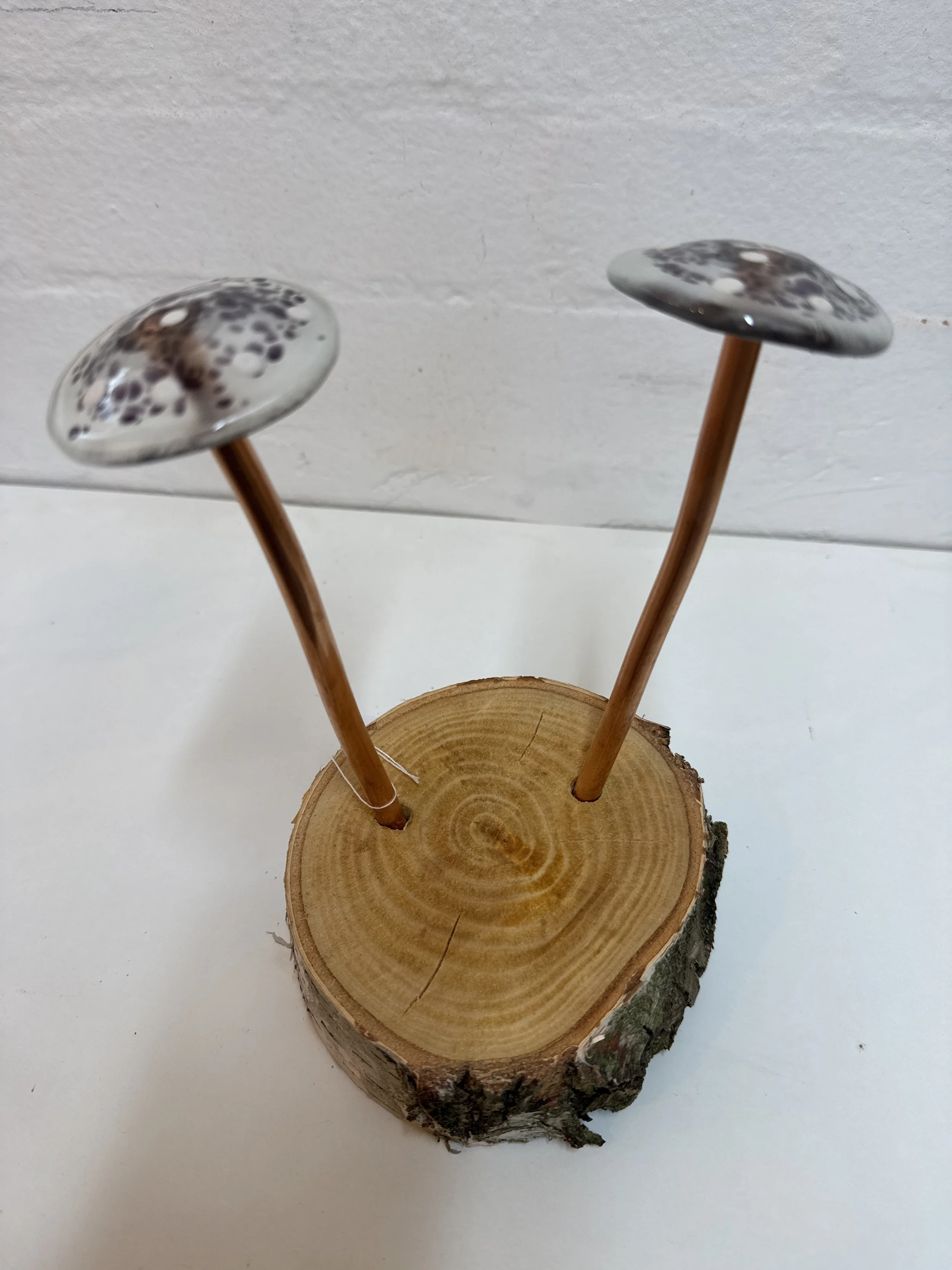 Glass fused mushroom set