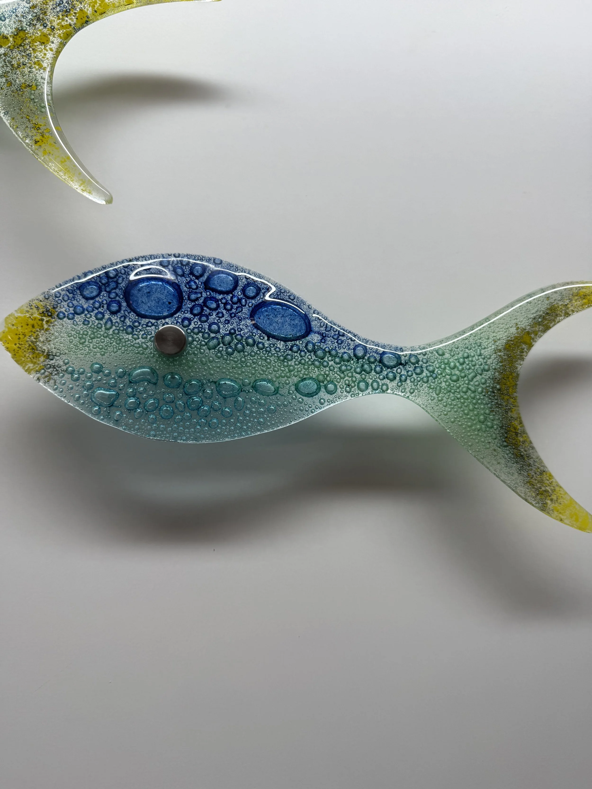 Set of 10 large fish blue top