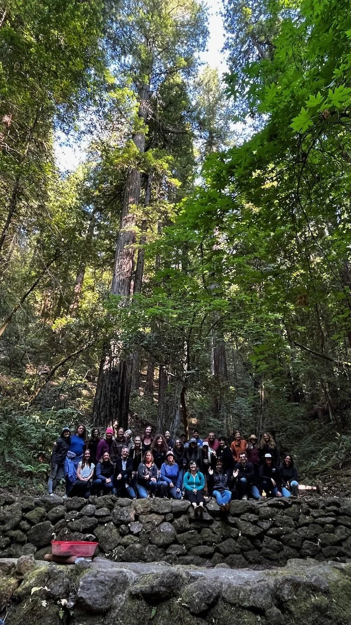 Redwood Trees Group Pic.jpeg