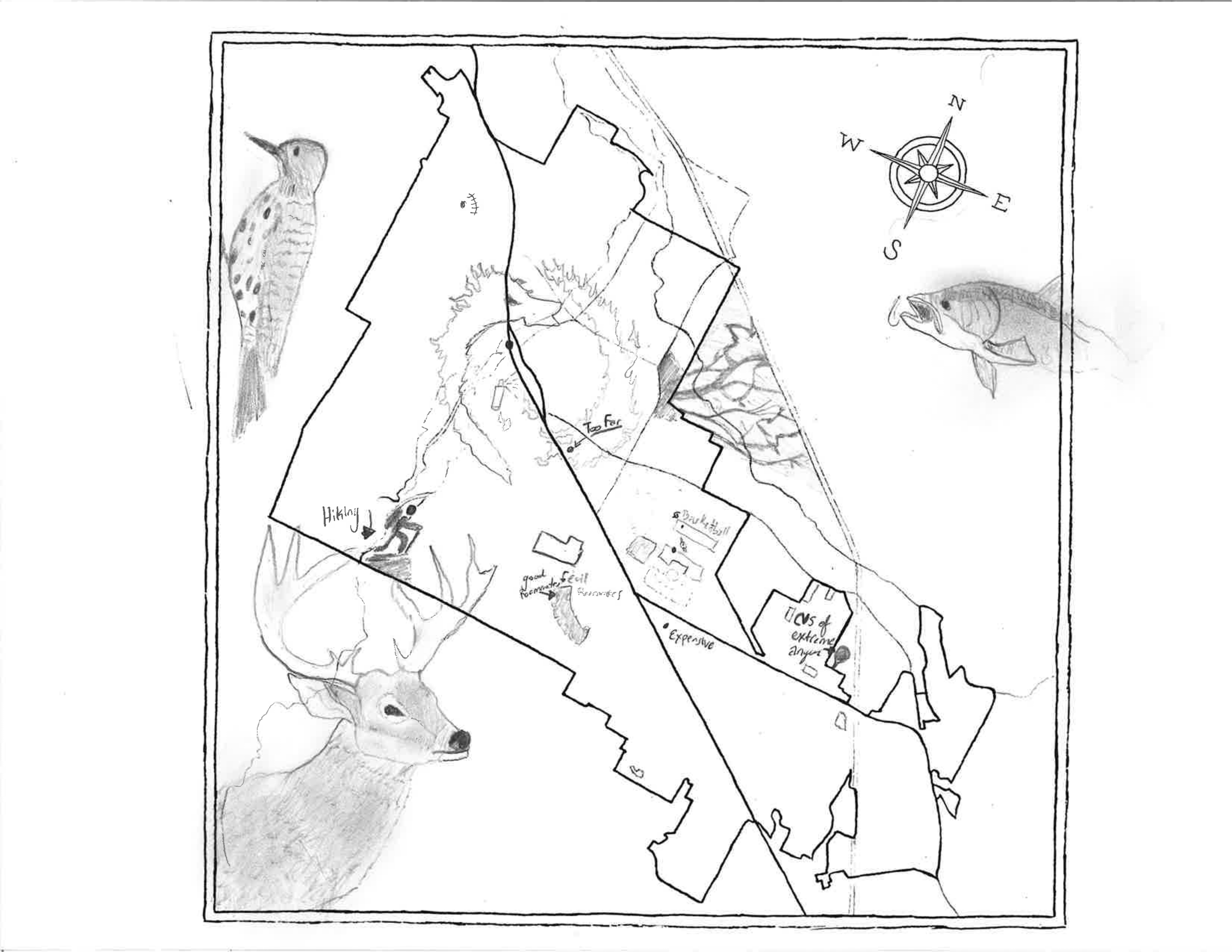My name is Dylan Houk, 20, and I am an economics major at SOU. 

I made my version of a map of Ashland. 
I made choices regarding what was and was not included in an attempt to encapsulate some of my “story” here in Ashland. 
I chose to use only penc