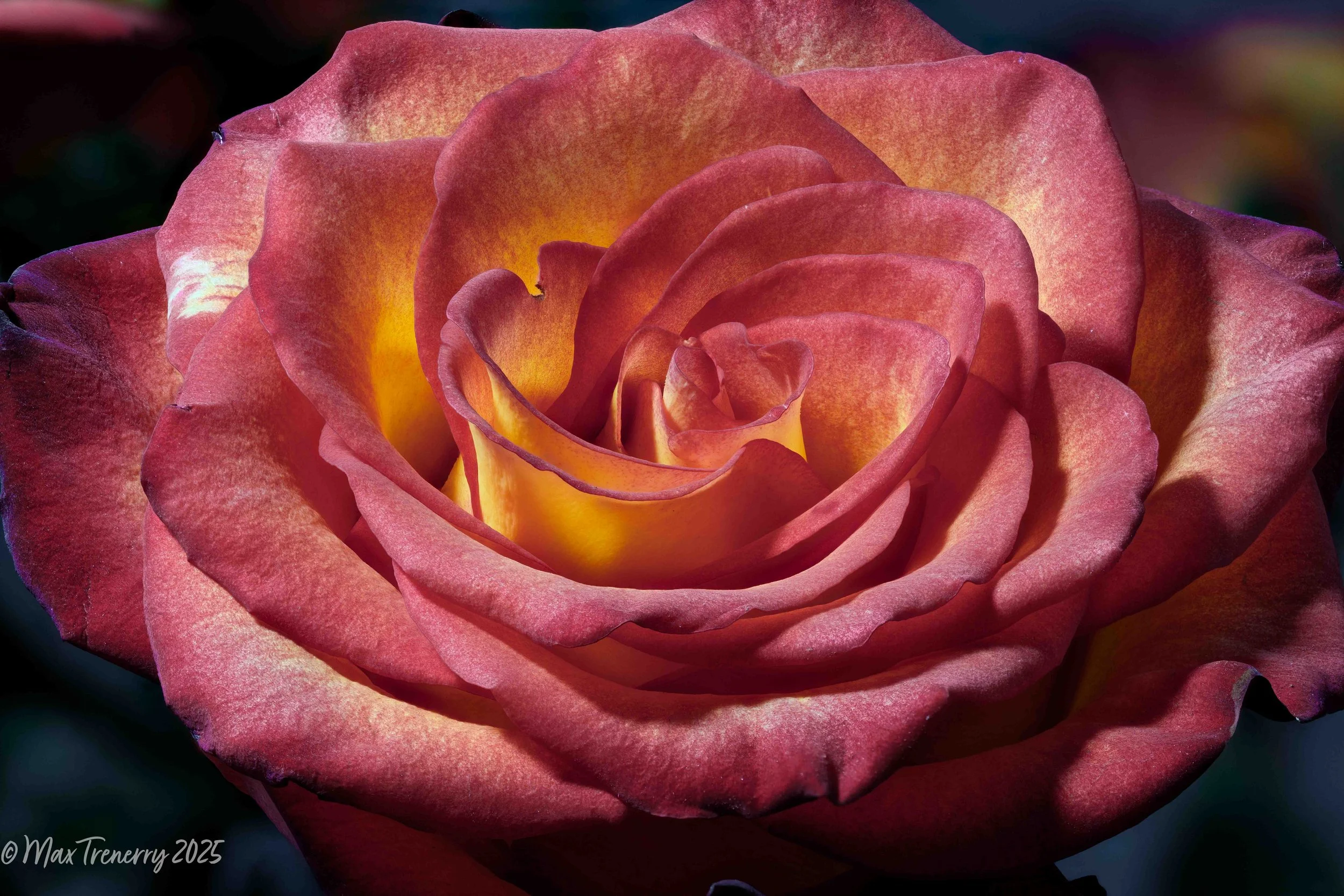 For IG 2024-10-14-06.14.09 ZS PMax-2.jpg