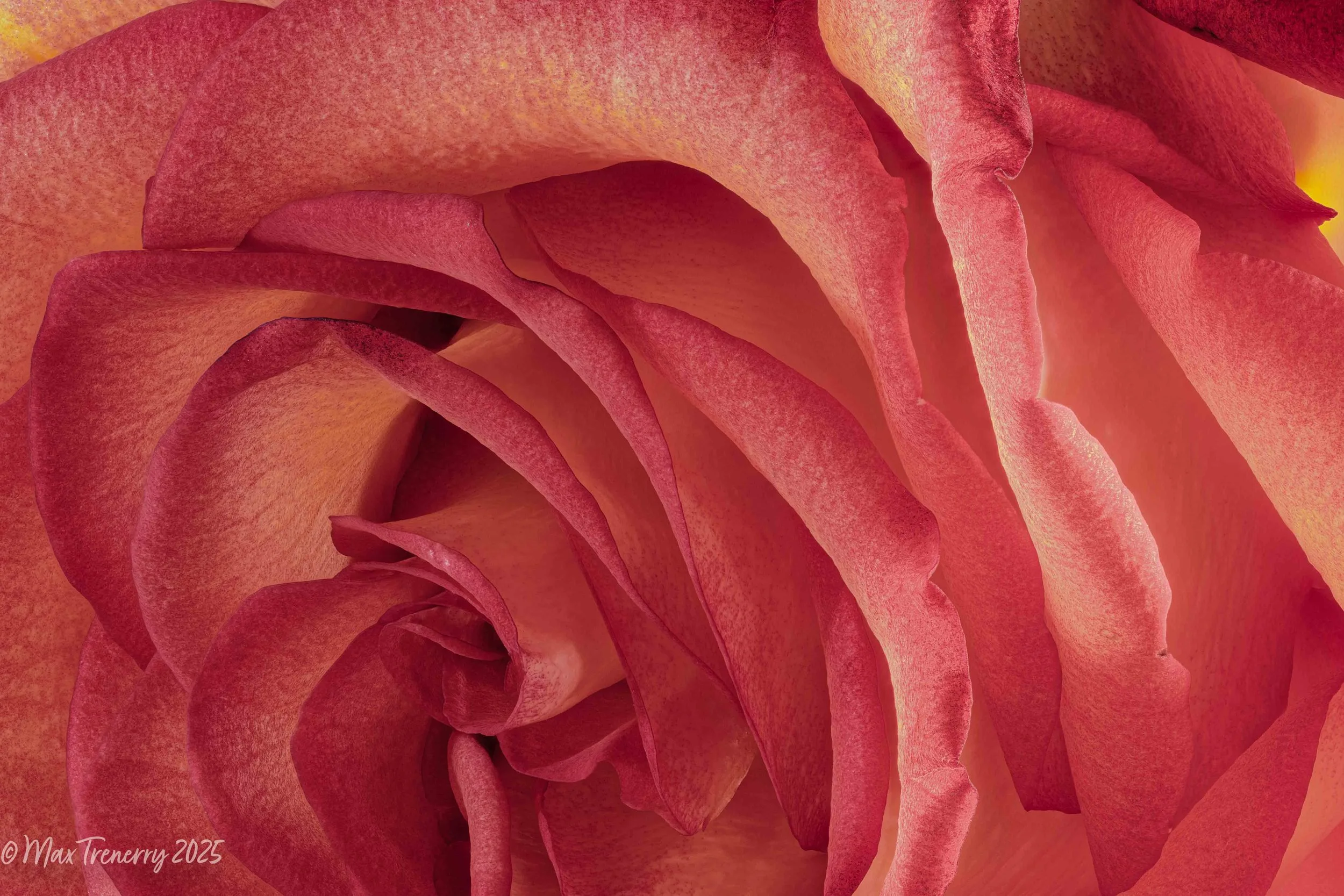 For IG 2024-10-18-12.35.51 ZS PMax.jpg