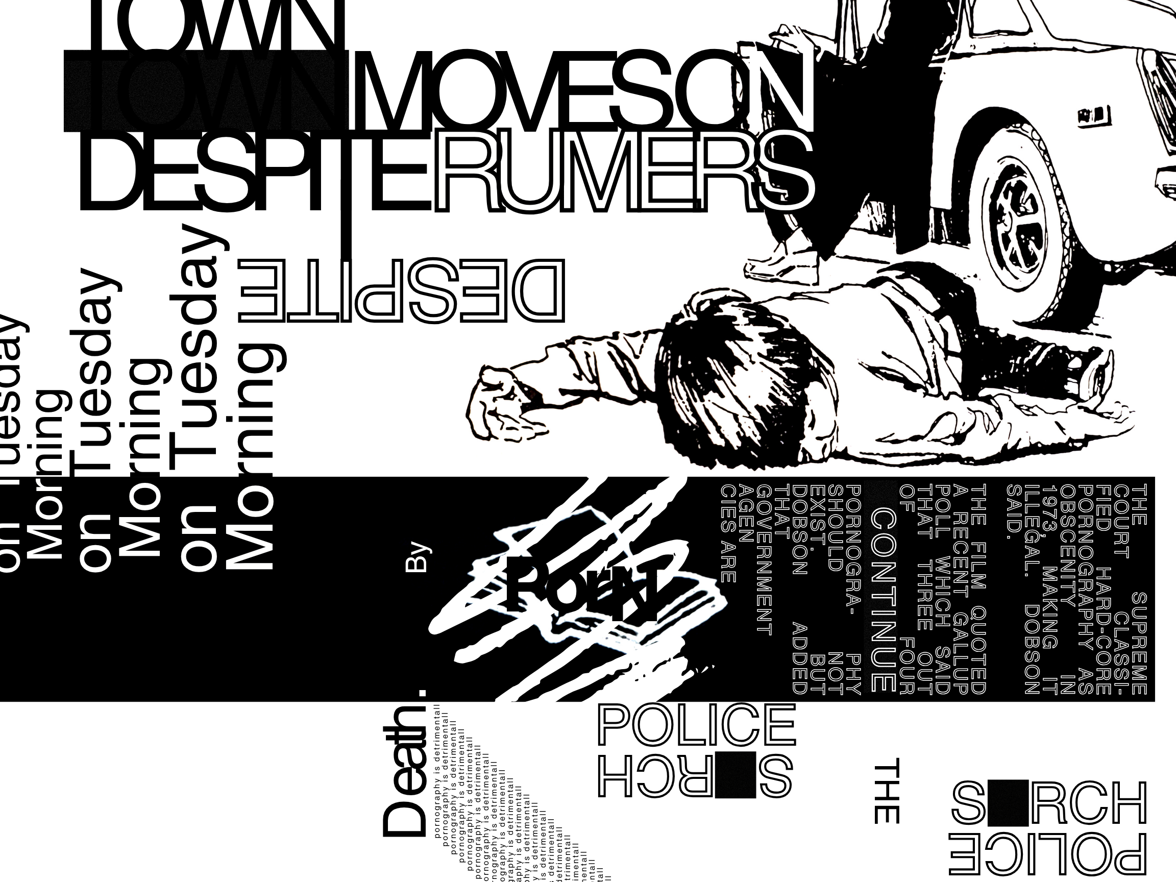 Despite the rumers ART PROJECT.png