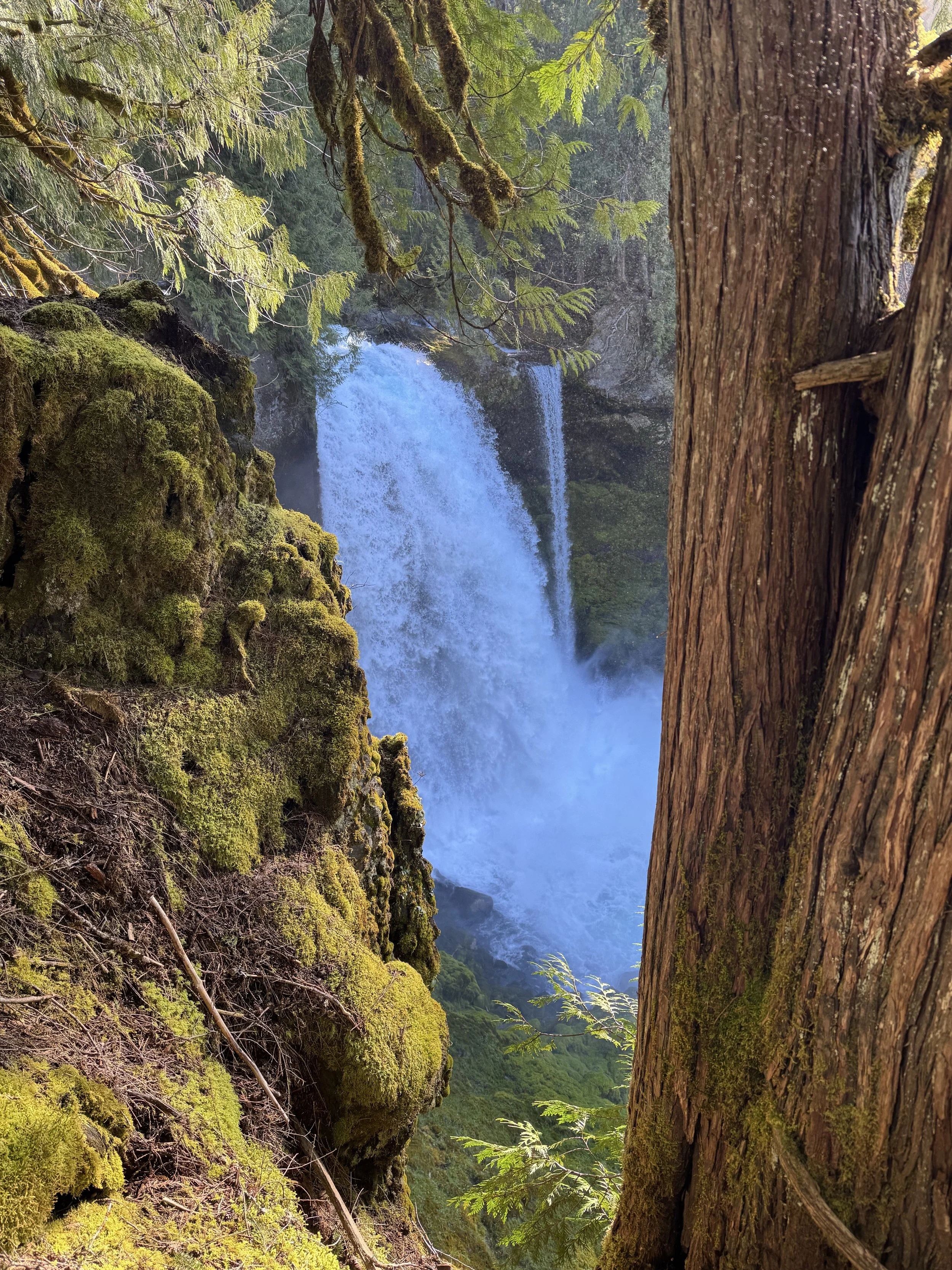 The McKenzie River Trail: 58 Miles of Moss, Waterfalls &amp; Lava Rocks