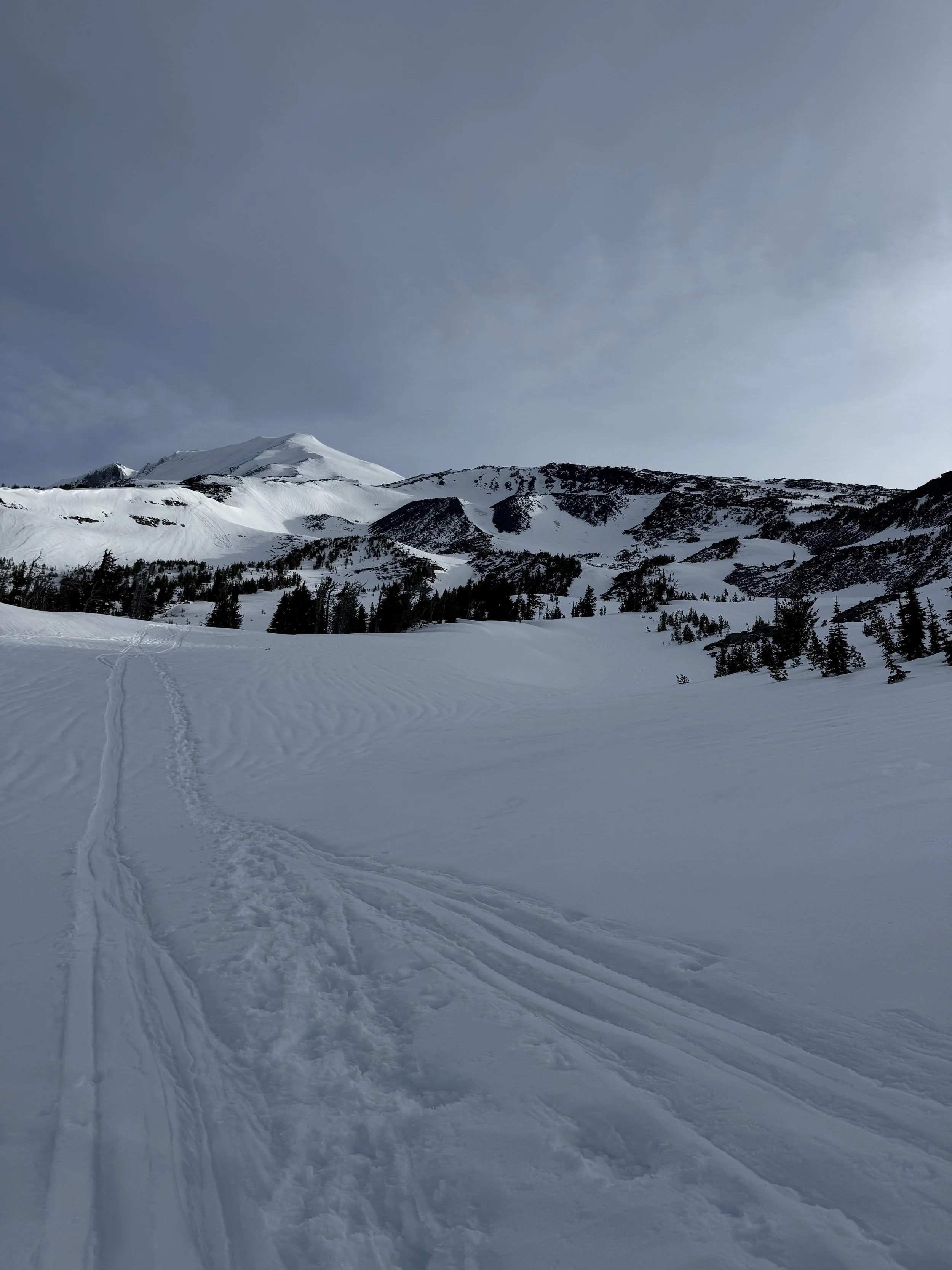 IMG_6968(3).jpeg